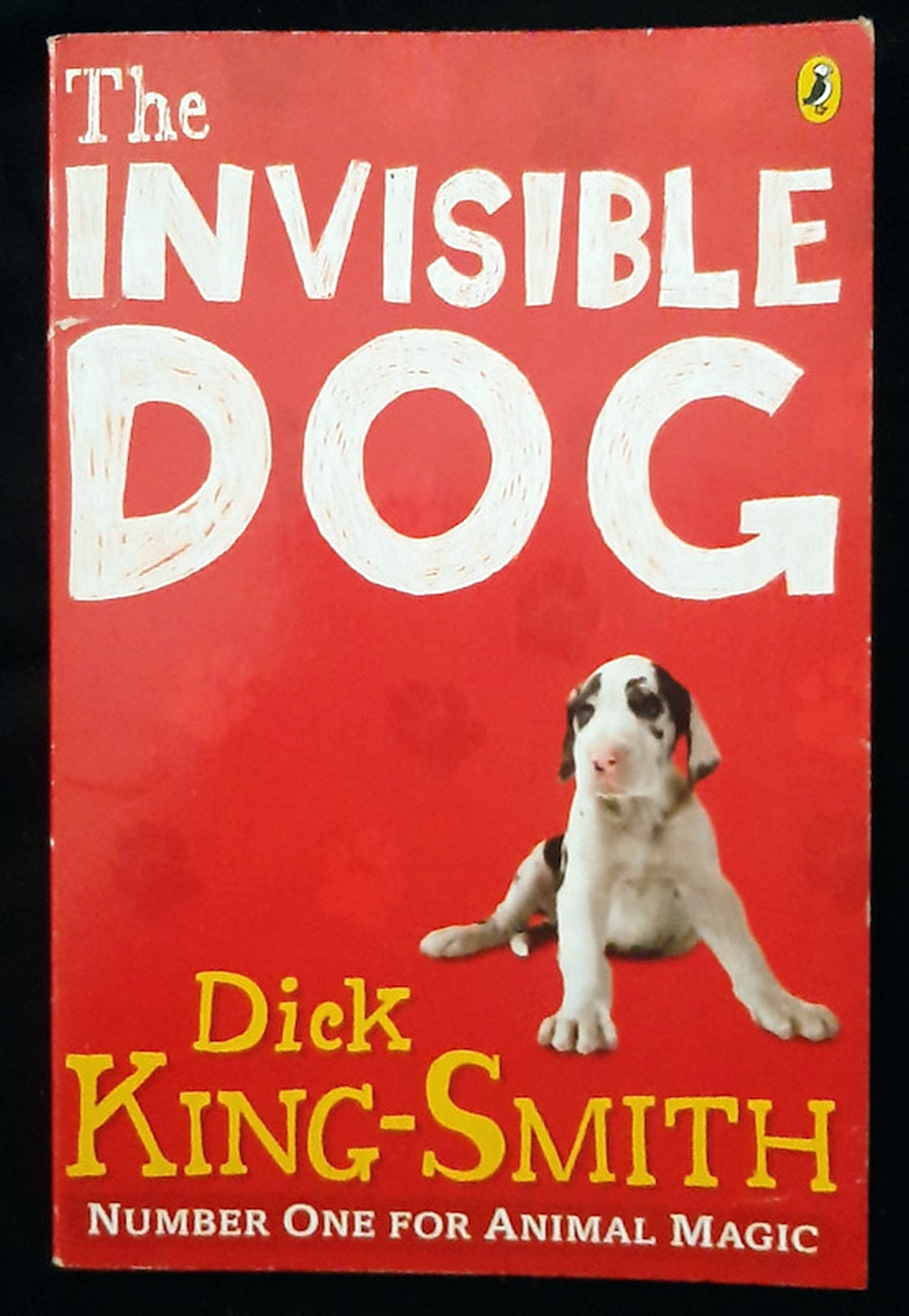Front Cover Of The Invisible Dog (Dick King-Smith)