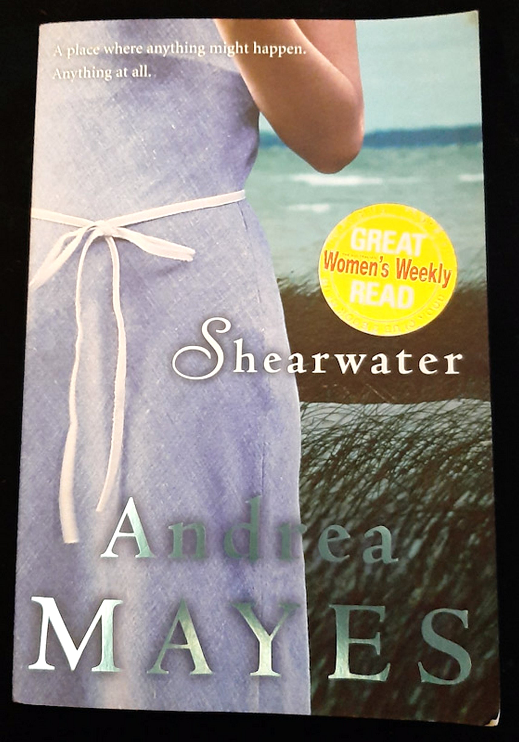 Front Cover Of Shearwater (Andrea Mayes)
