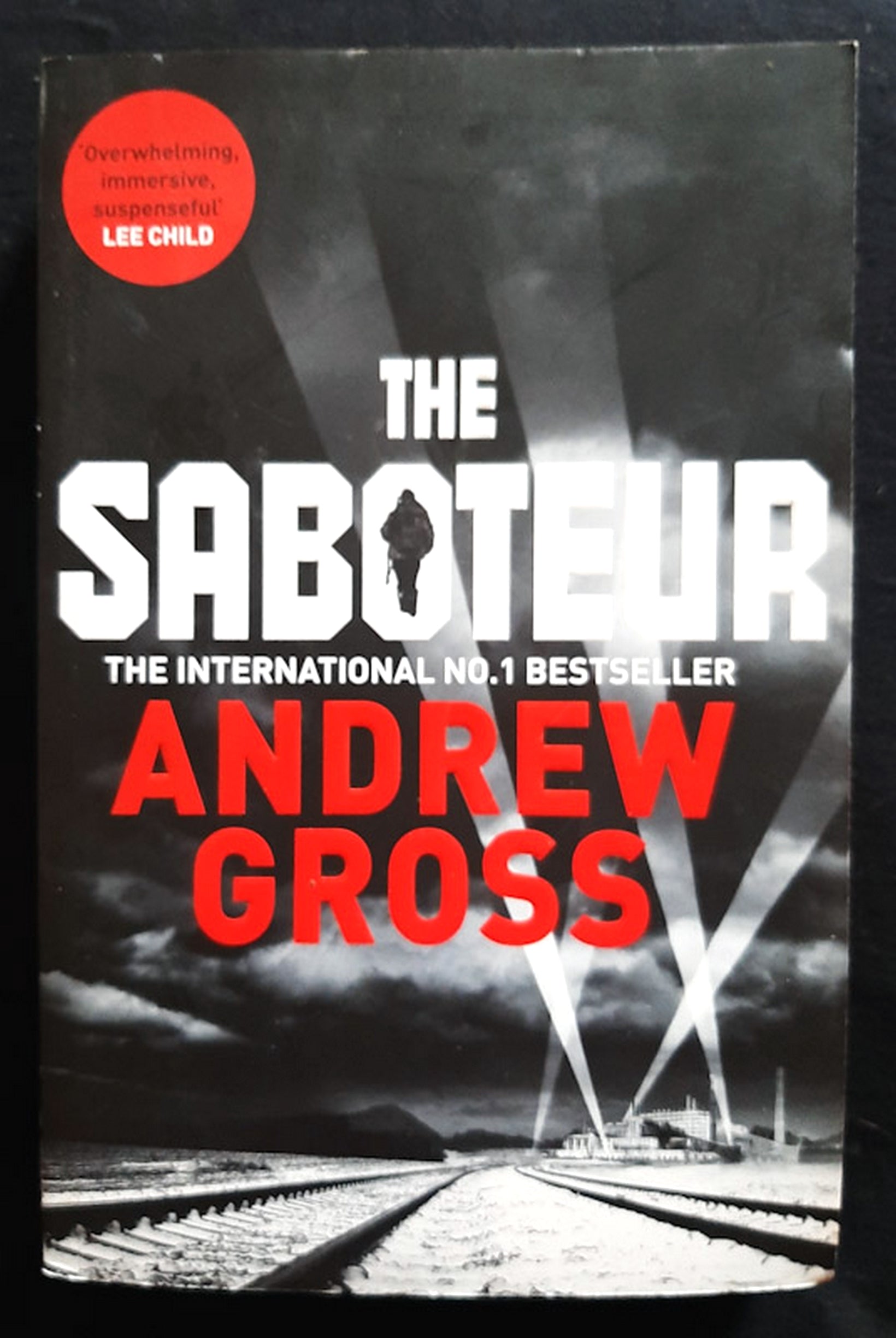 Front Cover Of The Restorer (Graveyard Queen #1) (Amanda Steven)