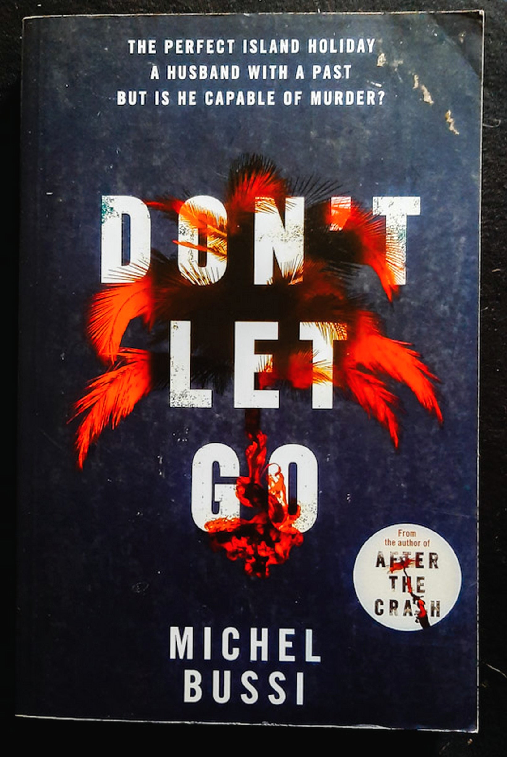 Front Cover Of Don't Let Go (Michel Bussi)