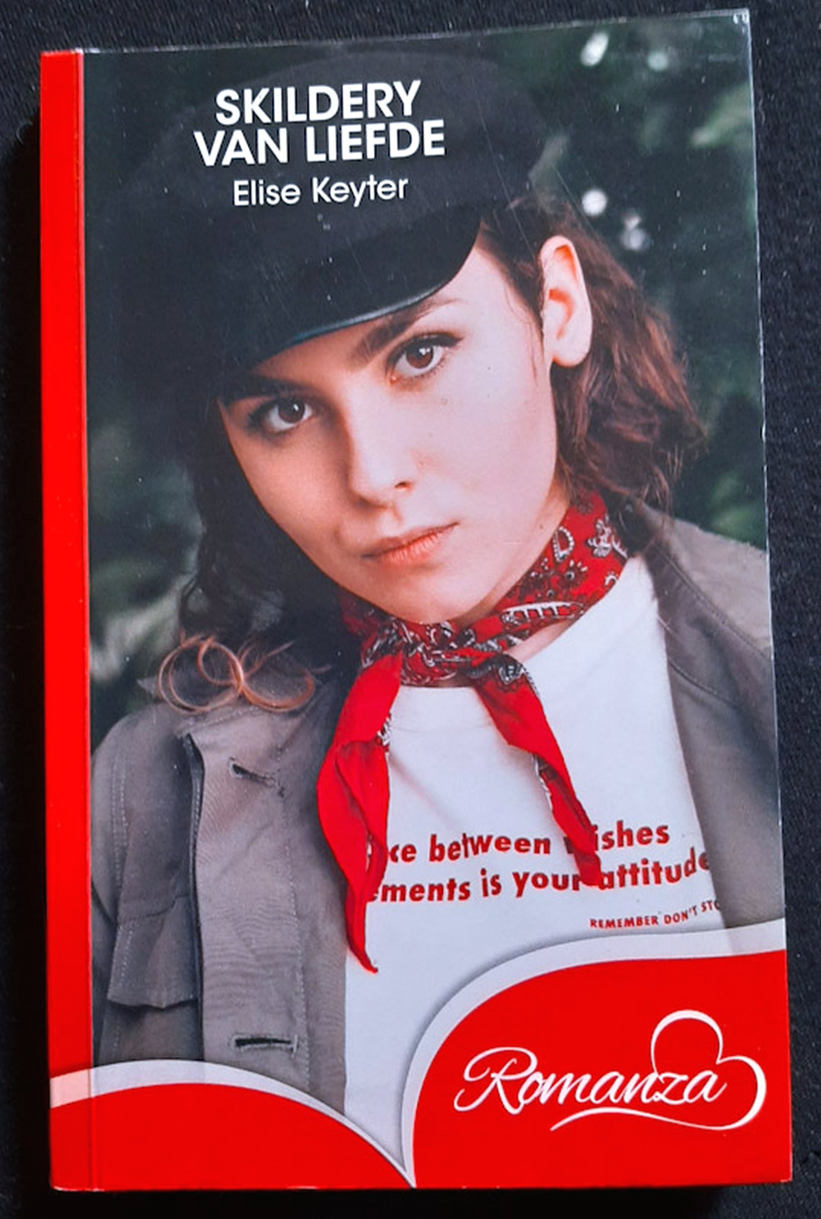 Front Cover Of Skildery van liefde (Elise Keyter)