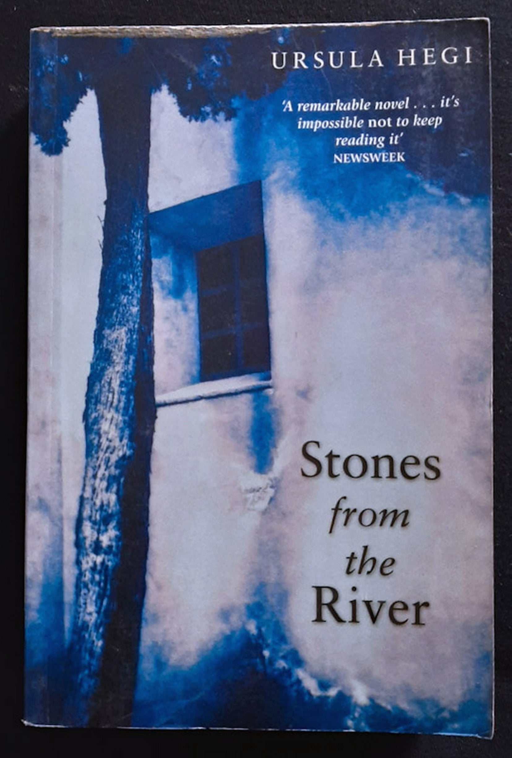 Front Cover Of Stones from the River (Burgdorf Cycle #1) (Ursula Hegi)
