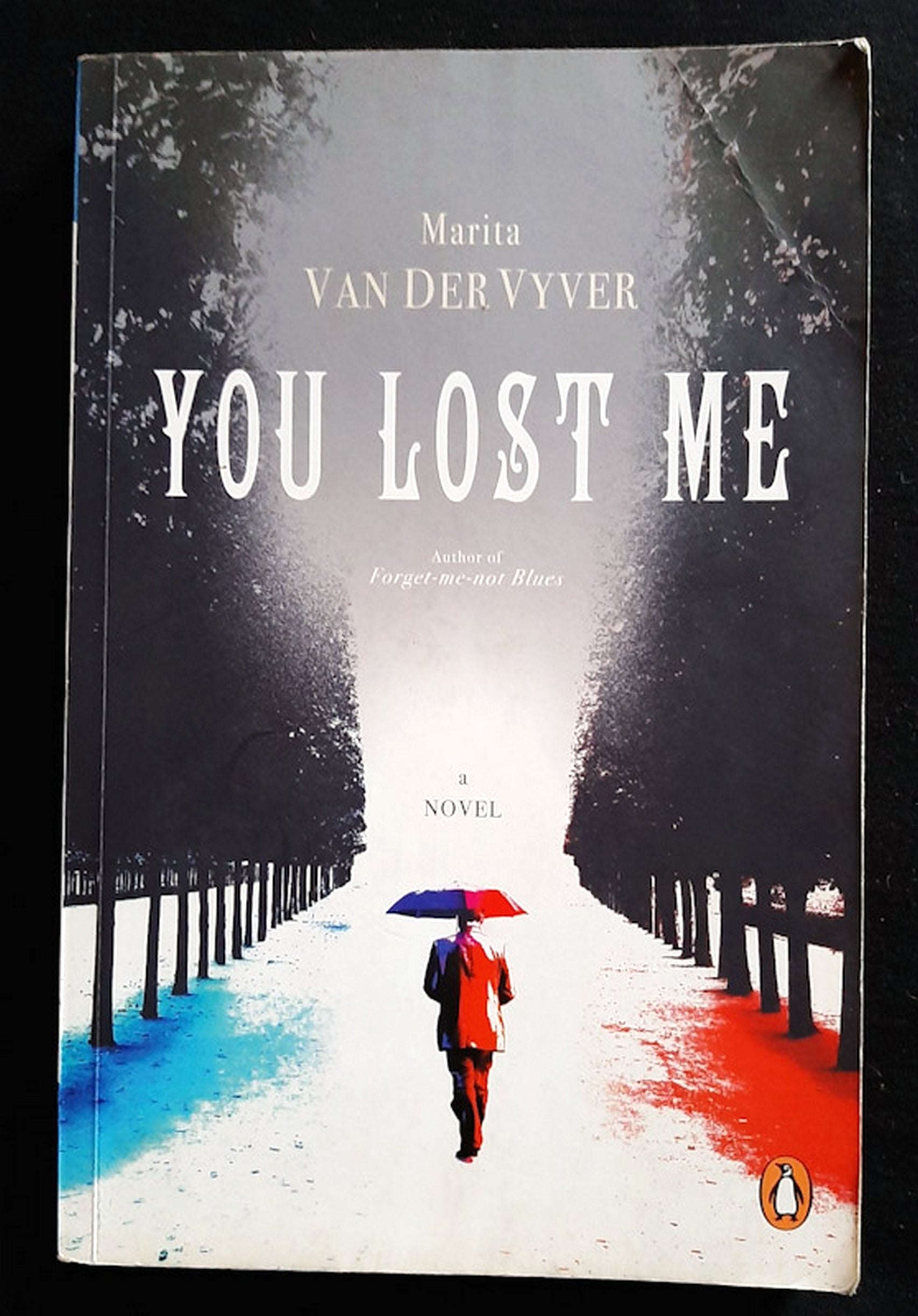 Front Cover Of You Lost Me (Marita van der Vyver)
