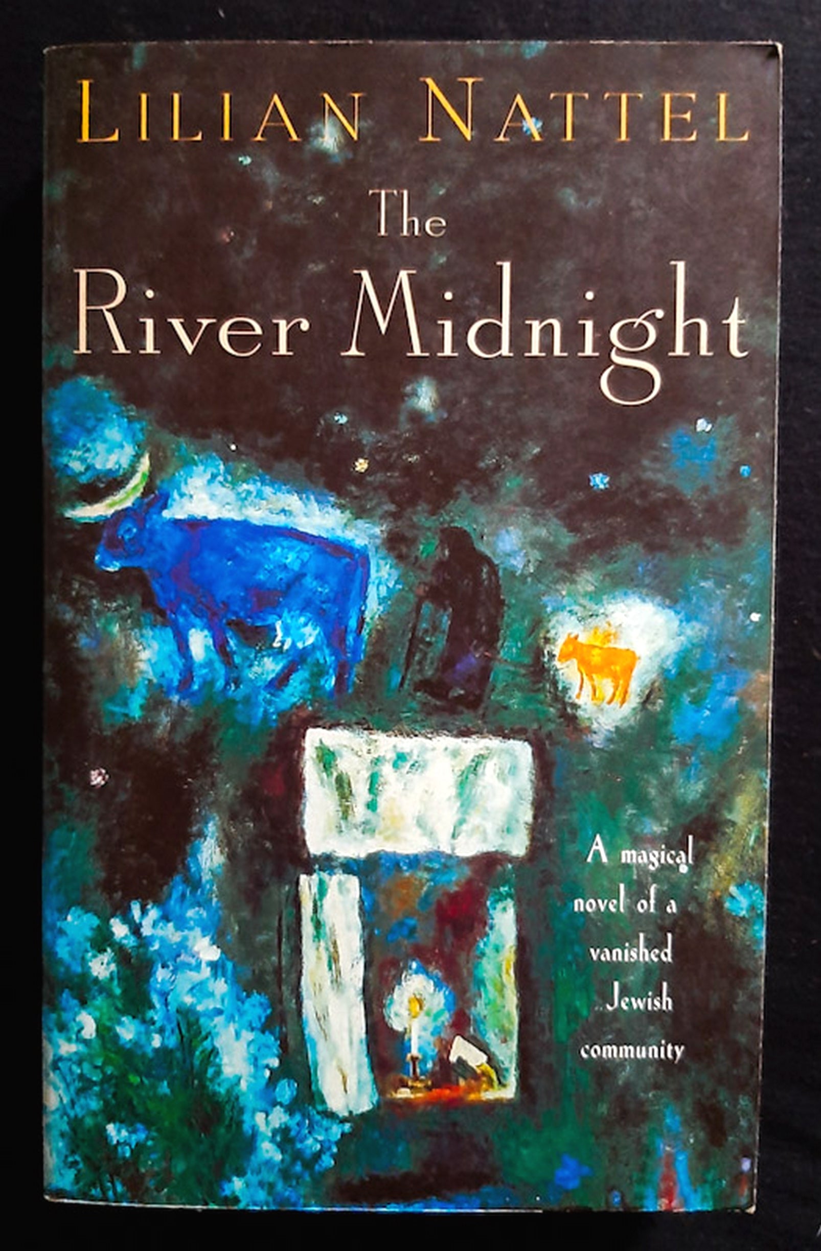 Front Cover Of The River Midnight (Lilian Nattel)