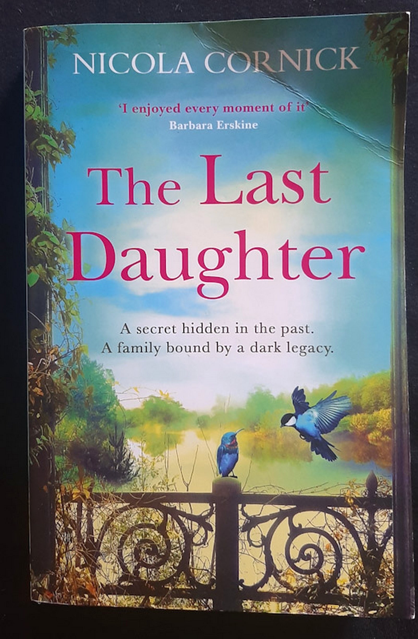 Front Cover Of The Last Daughter (Nicola Cornick)