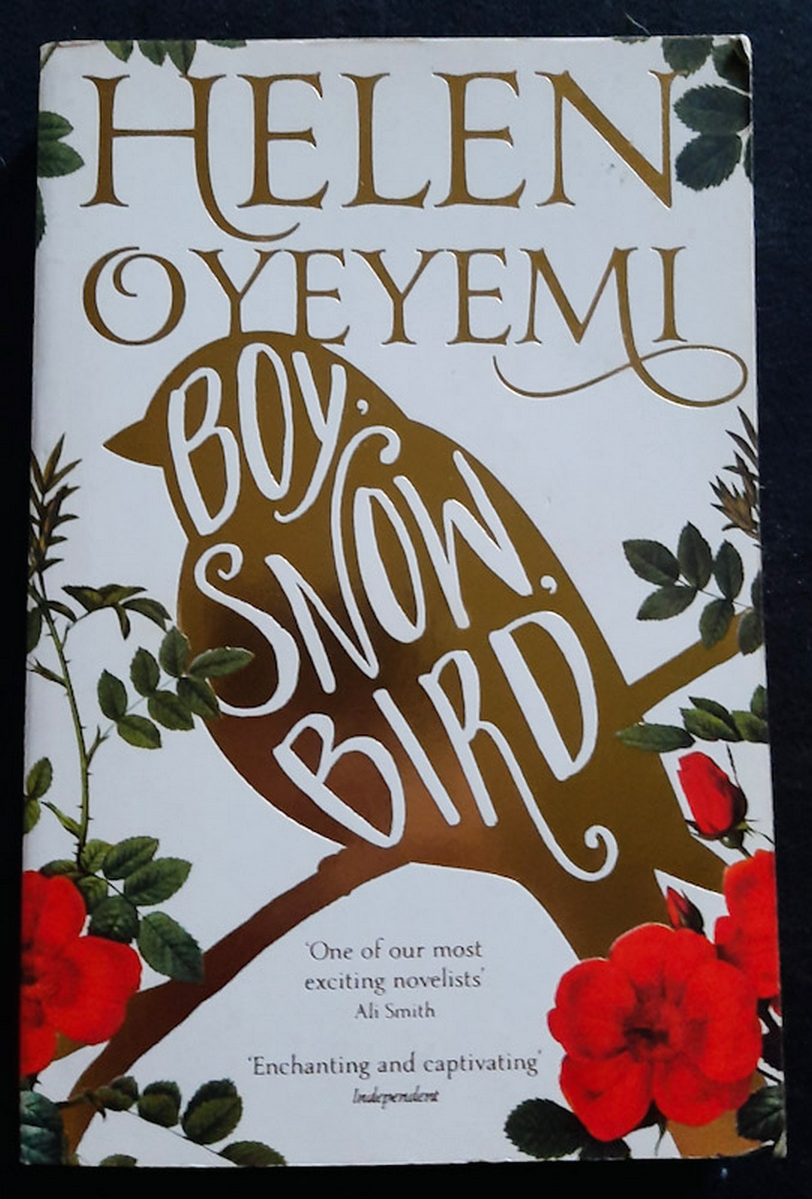 Front Cover Of Boy, Snow, Bird (Helen Oyeyemi)