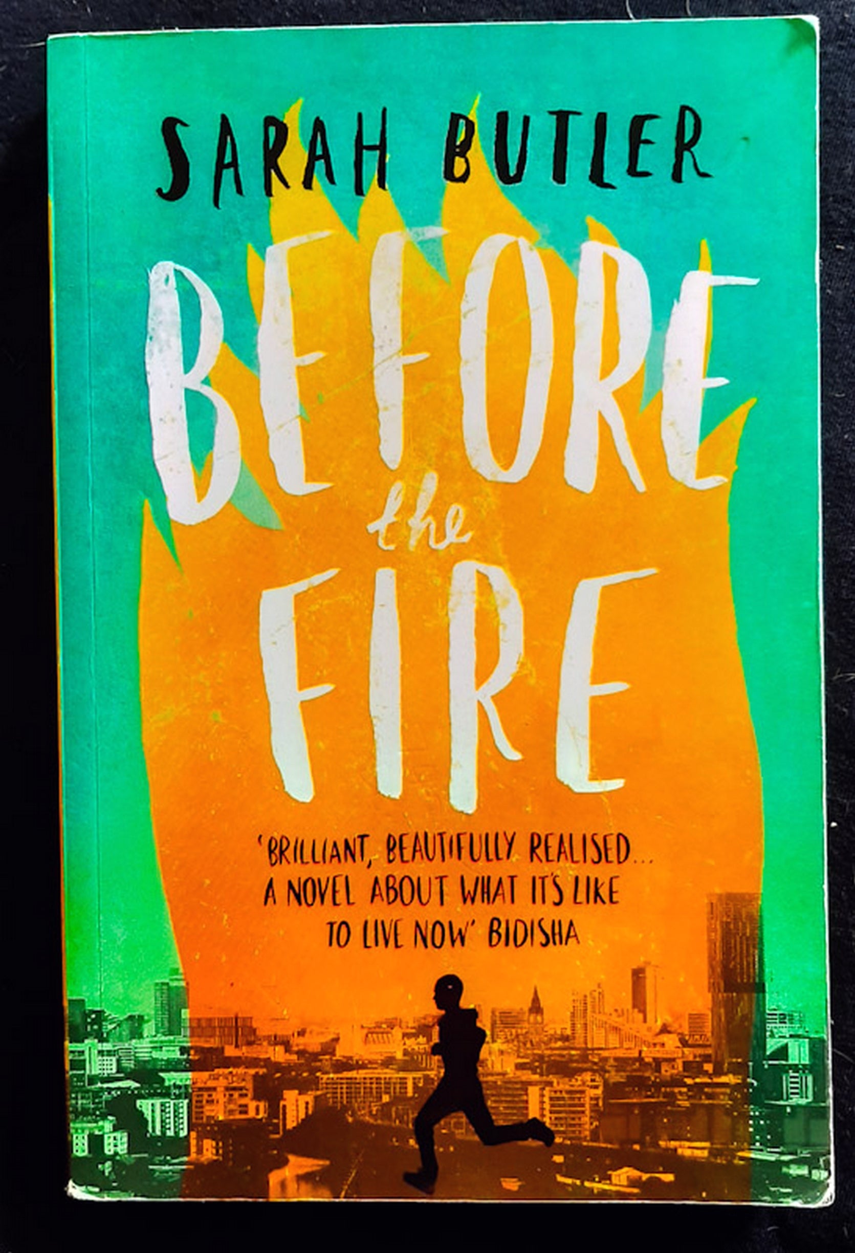 Front Cover Of Before the Fire (Sarah Butler)