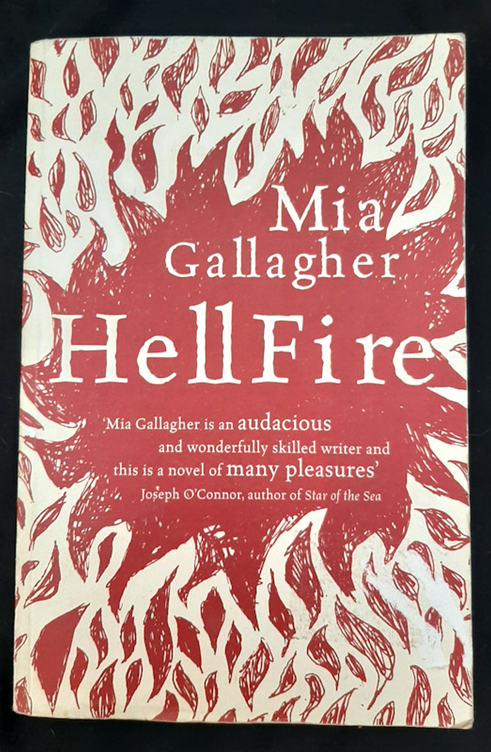Front Cover Of HellFire (Mia Gallagher)