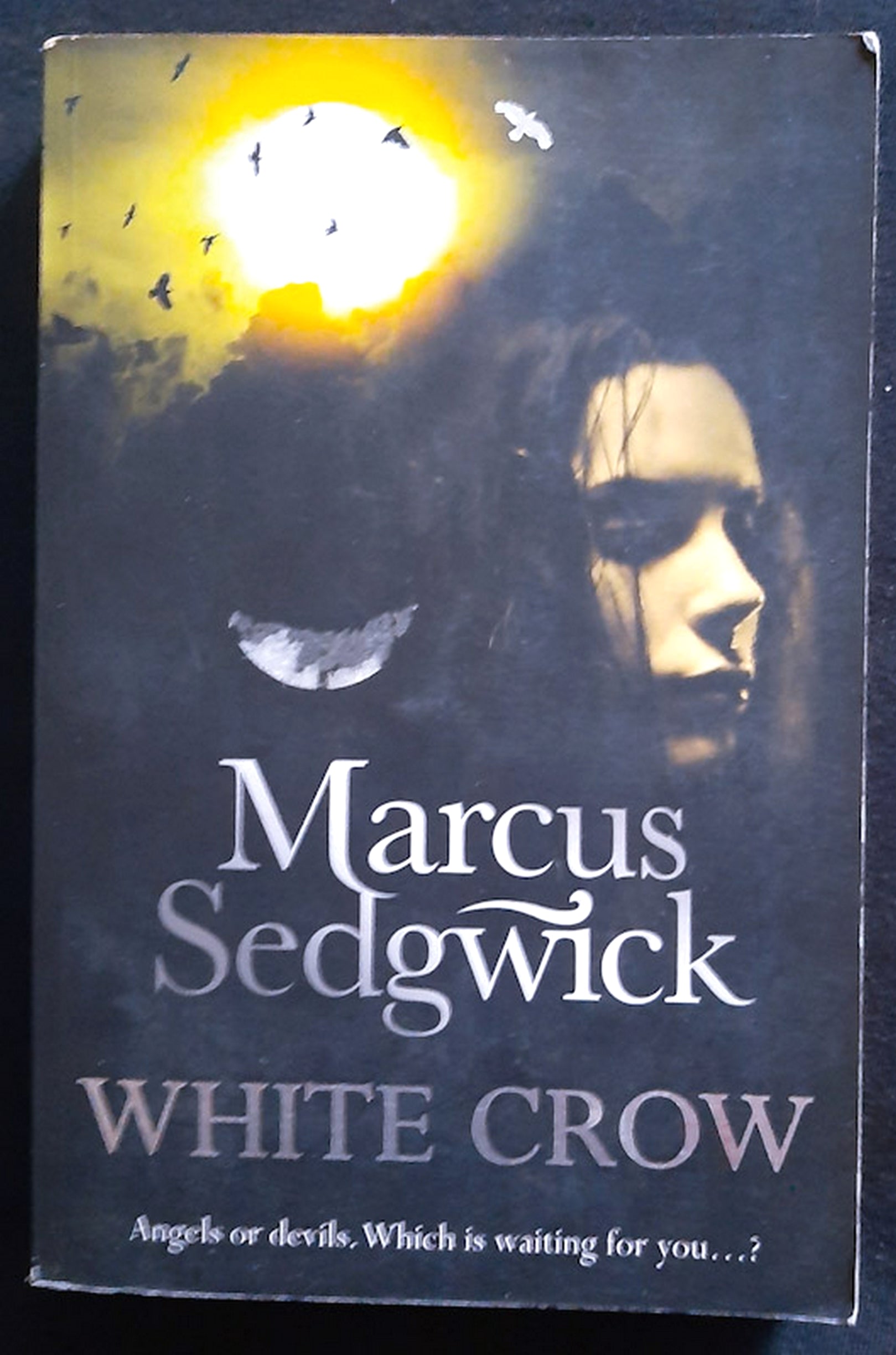 Front Cover Of White Crow (Marcus Sedgwick)
