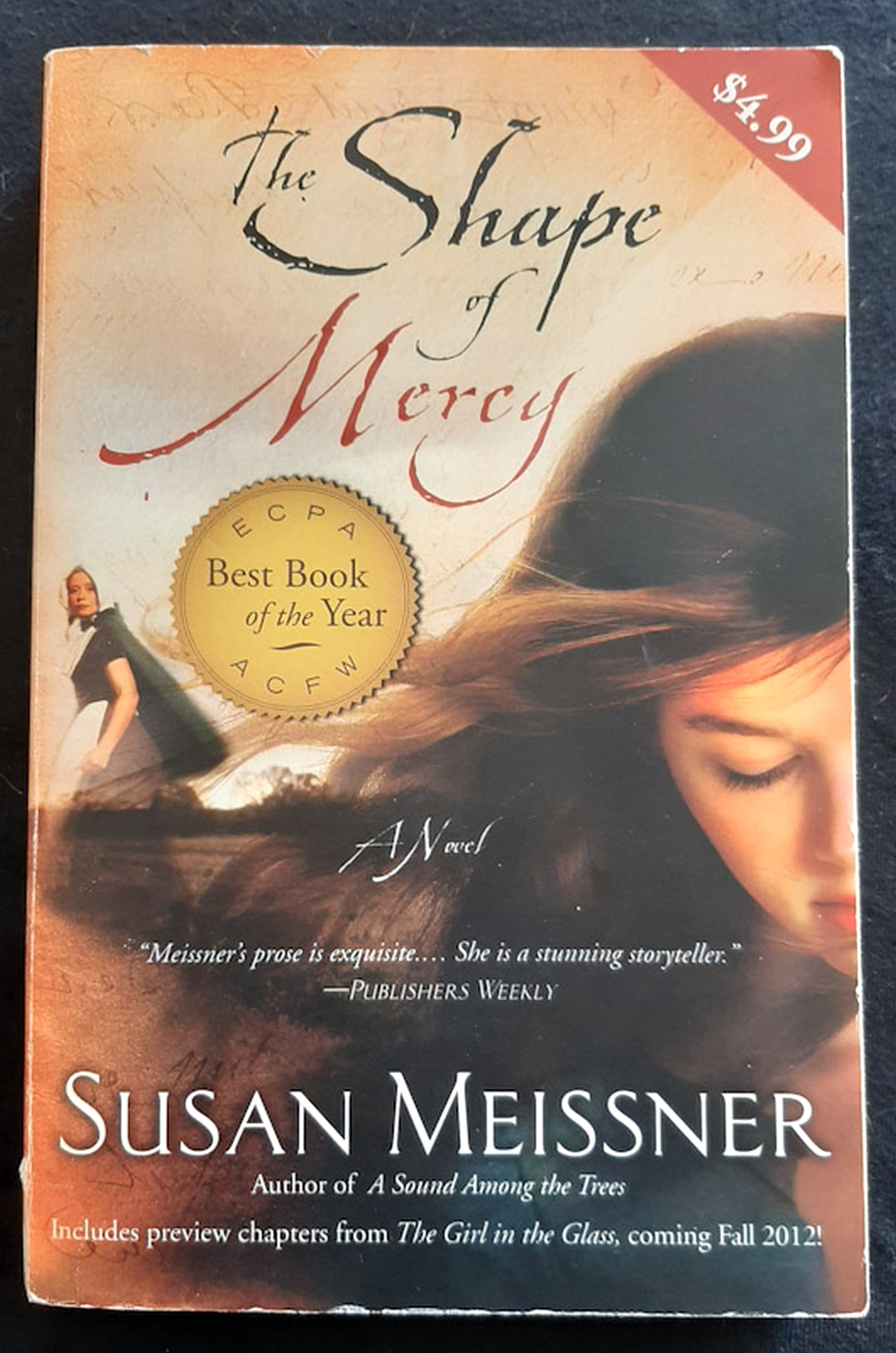 Front Cover Of The Shape of Mercy (Susan Meissner)