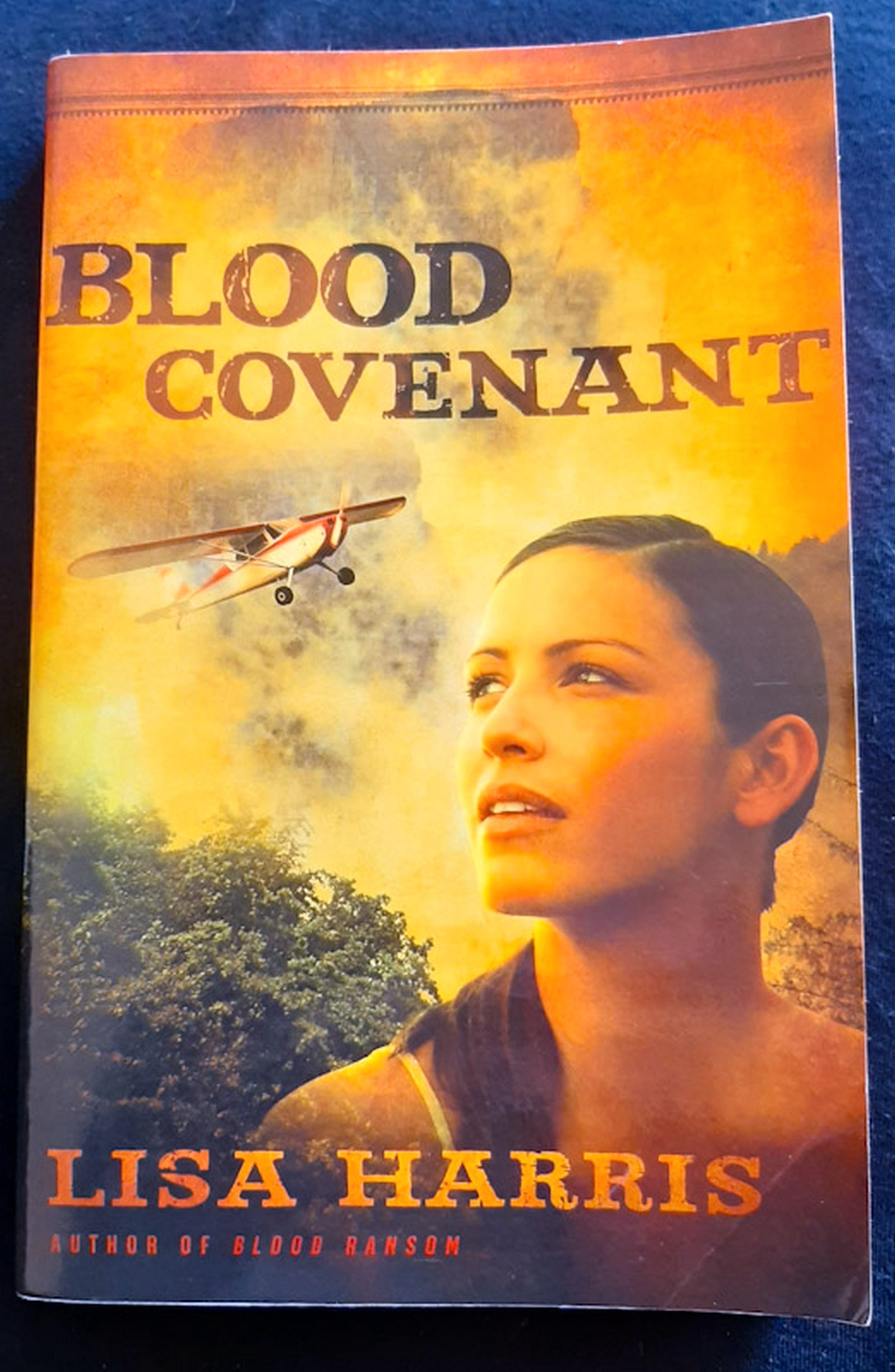 Front Cover Of Blood Covenant (Lisa Harris)