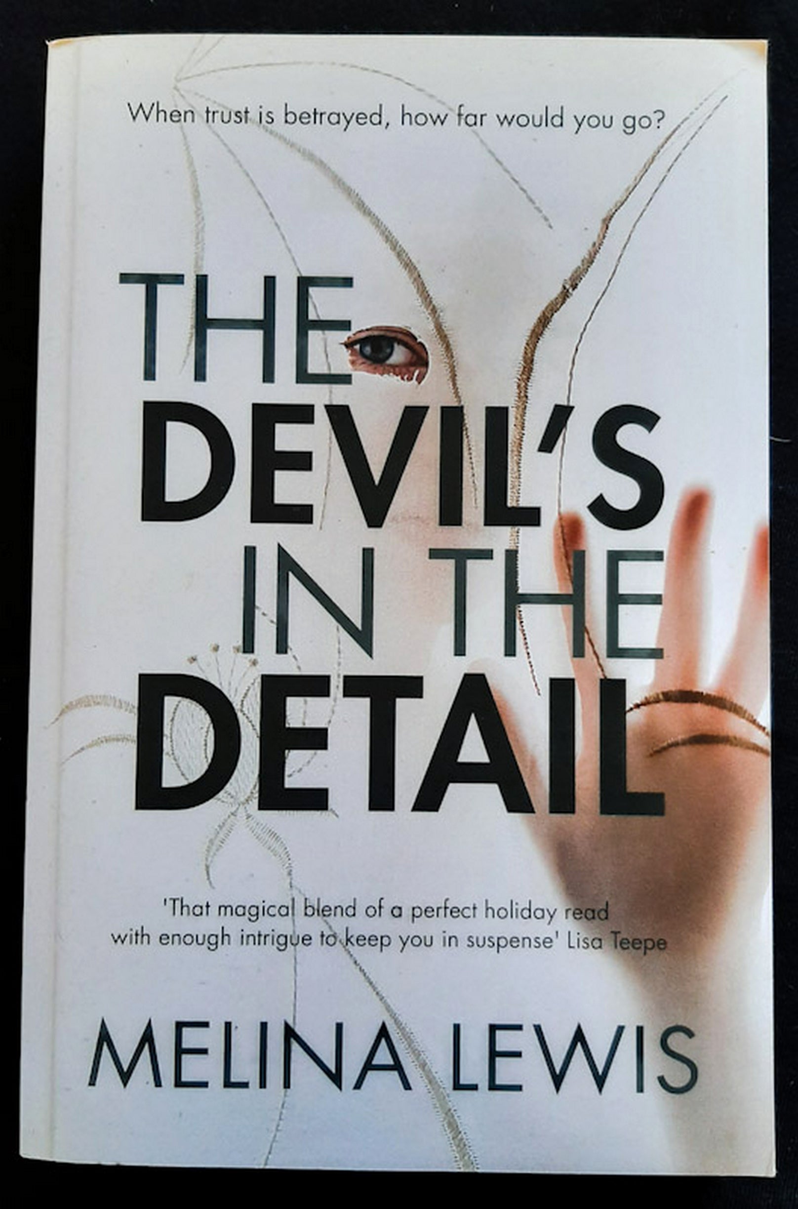 Front Cover Of The Devil's in the Detail (Melina Lewis)