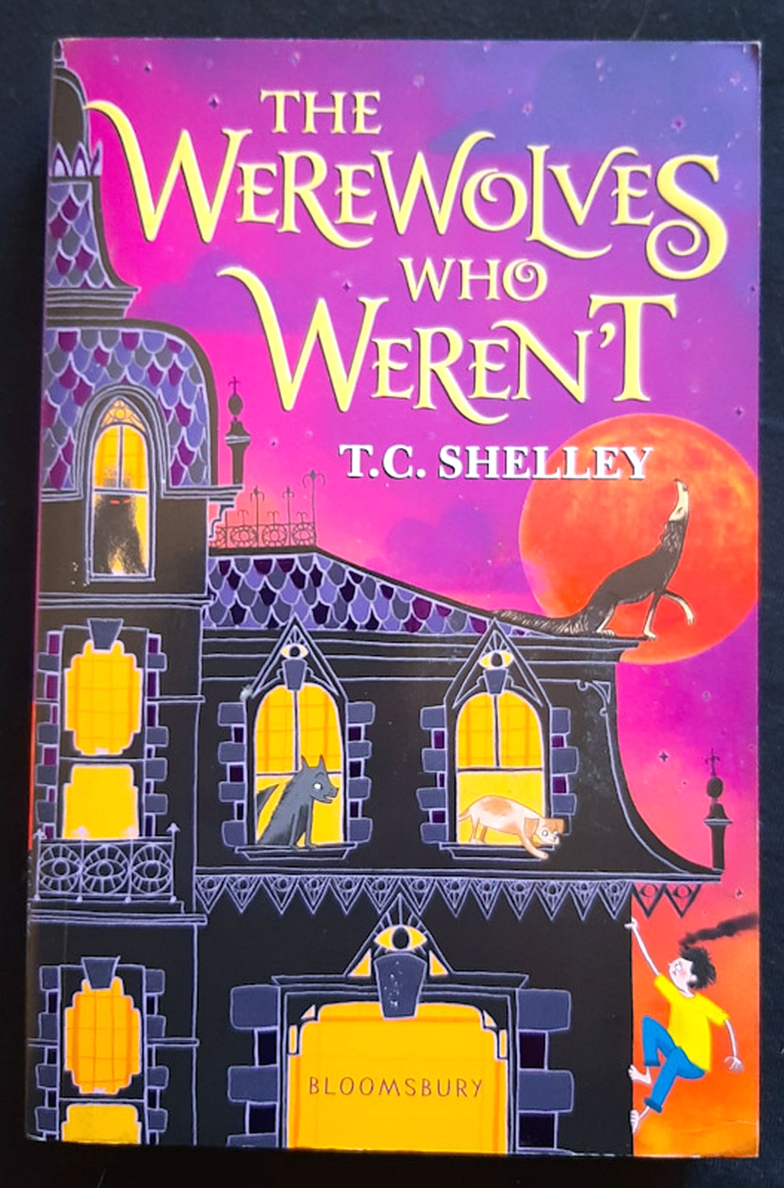 Front Cover Of The Werewolves Who Weren't (Monster Who Wasn't Trilogy #2) (T.C. Shelley)