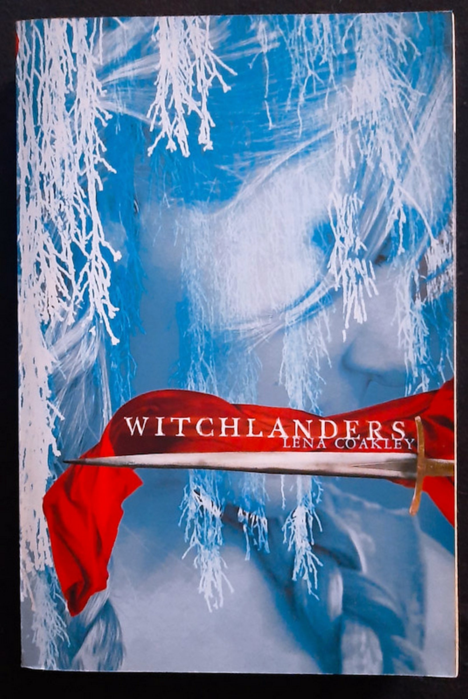 Front Cover Of Witchlanders (Lena Coakley)