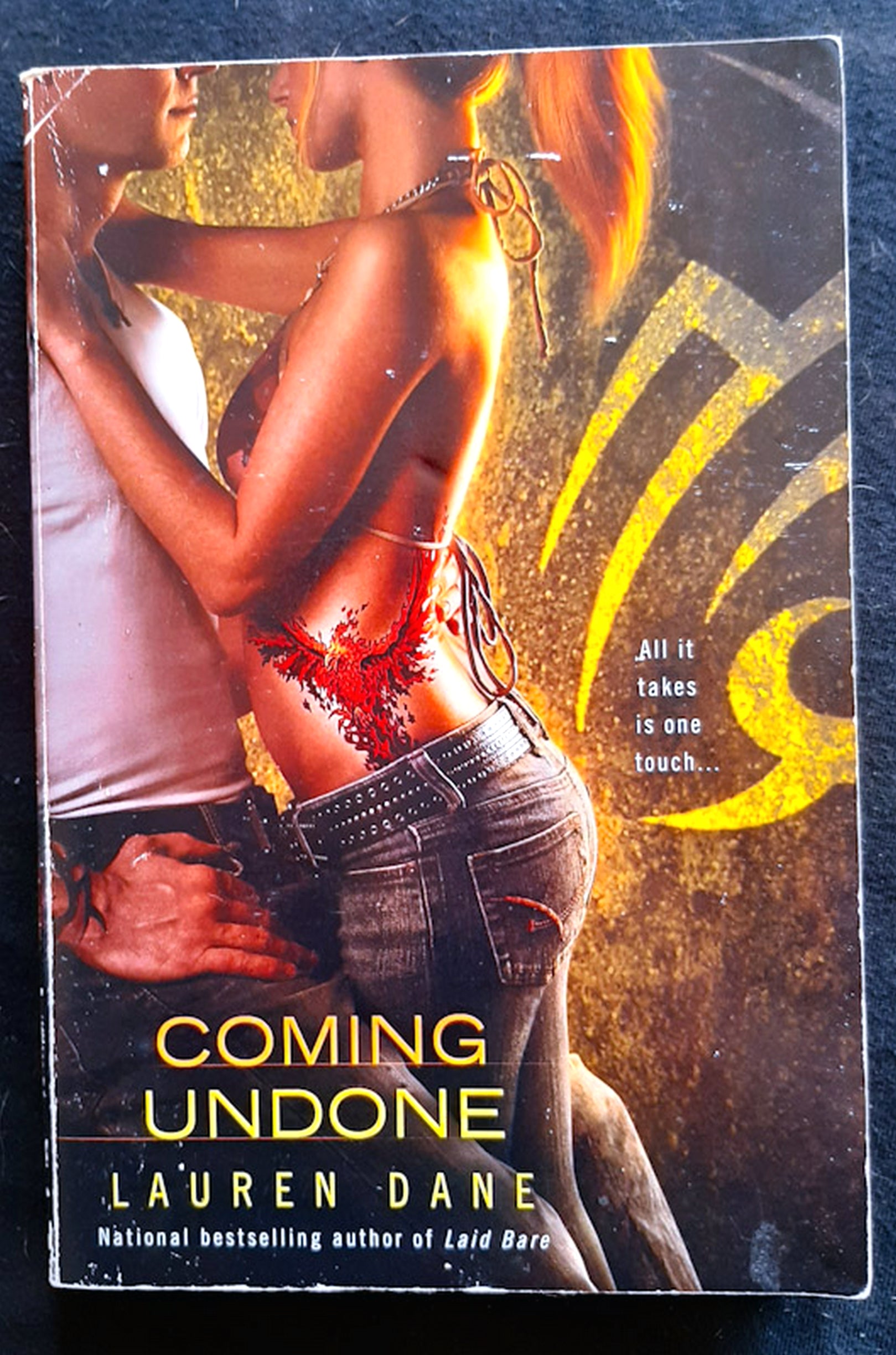 Front Cover Of Coming Undone (Brown Family #2) (Lauren Dane)