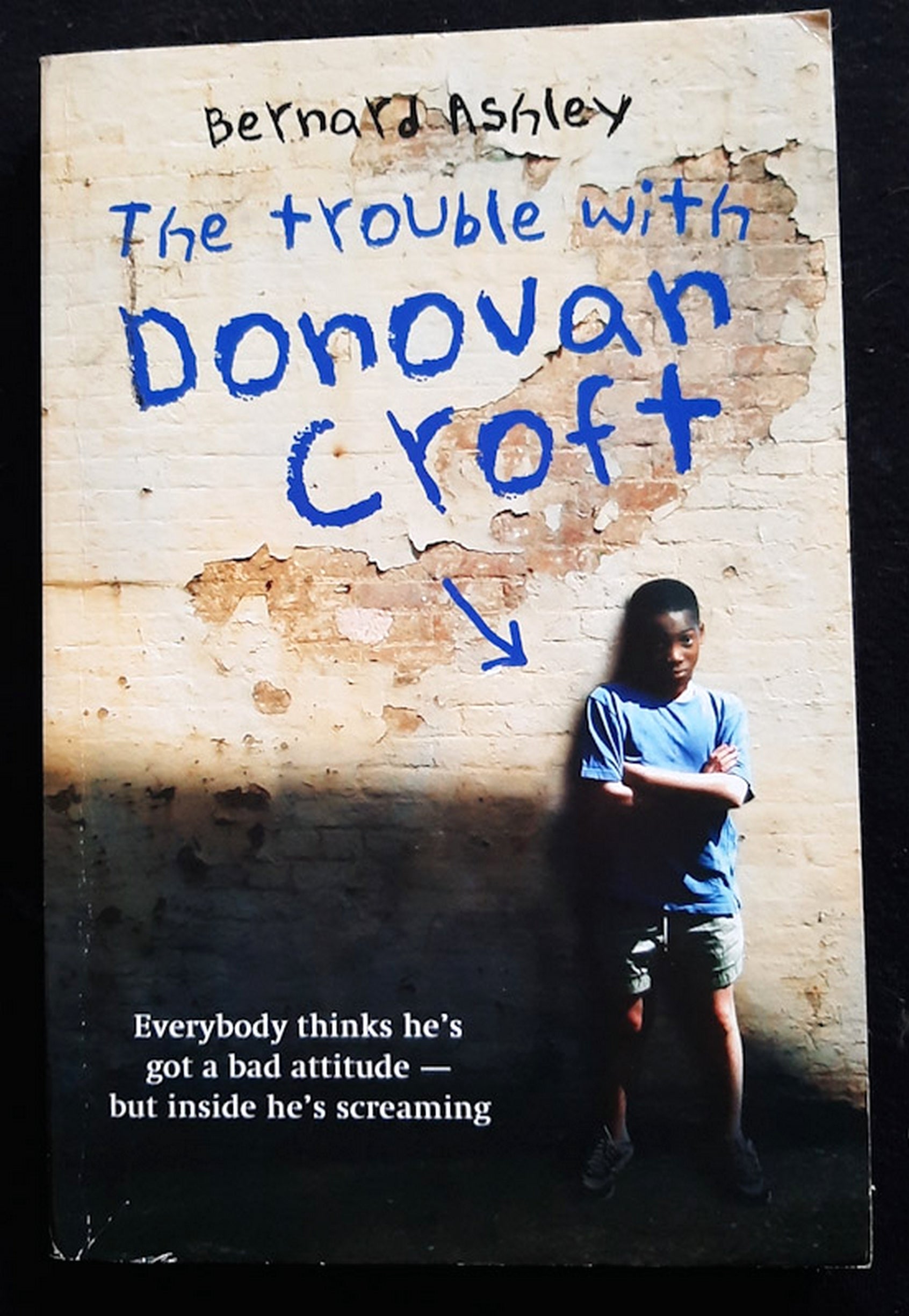 Front Cover Of The Trouble with Donovan Croft (Bernard Ashley)