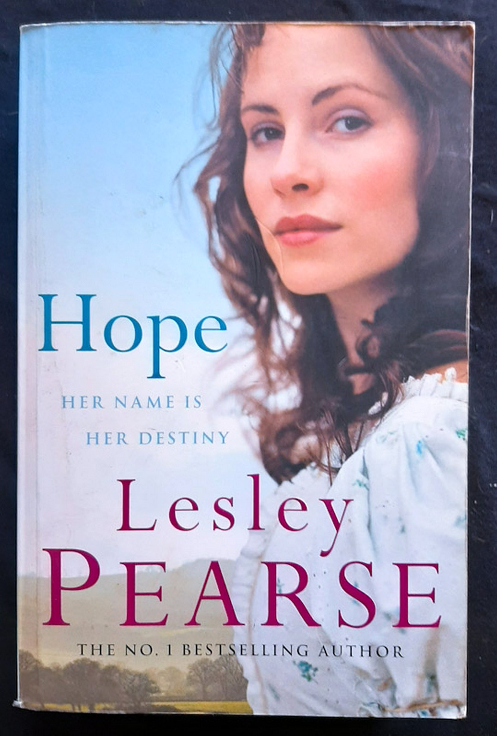 Front Cover Of Hope (Lesley Pearse)