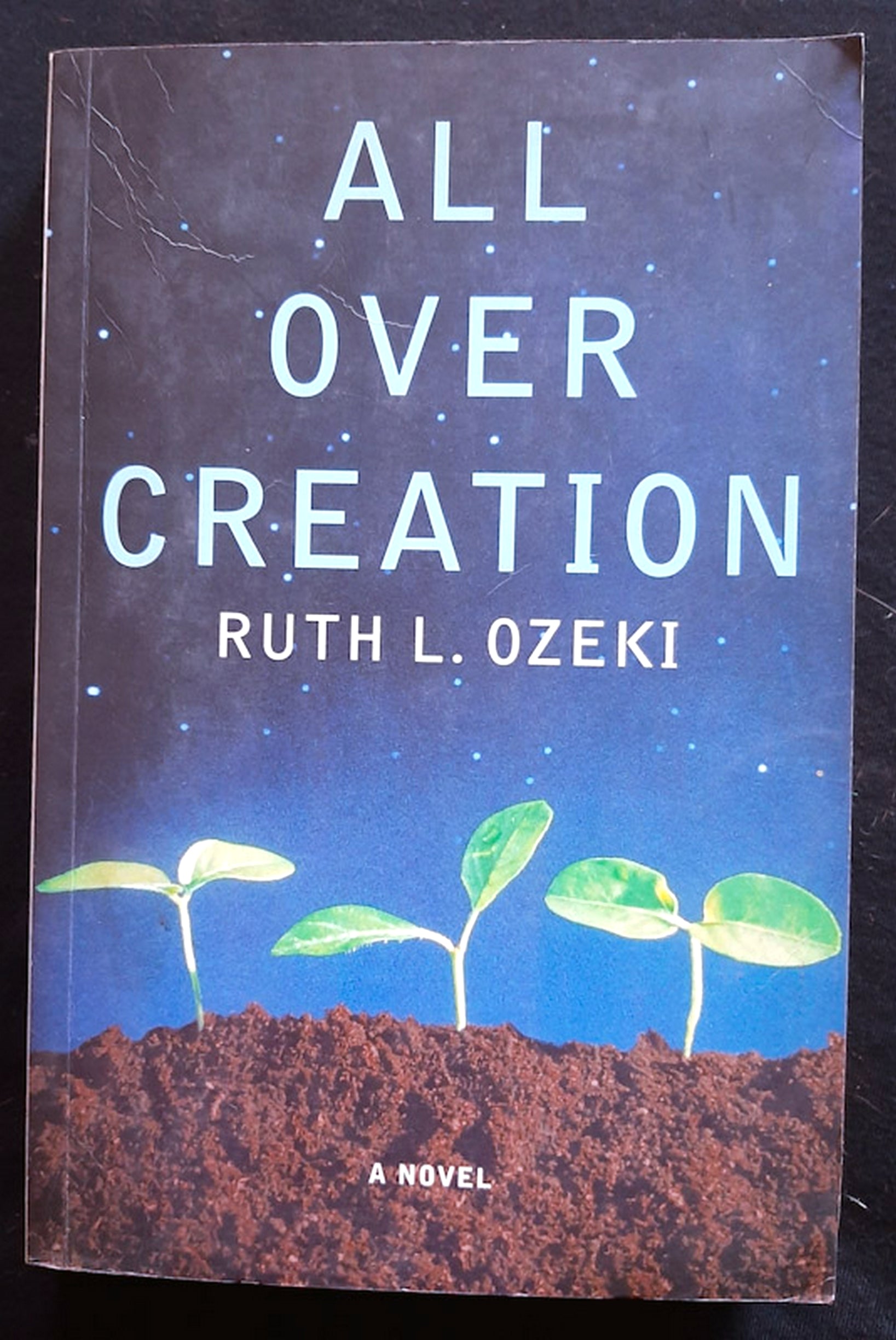 Front Cover Of All Over Creation (Ruth Ozeki)