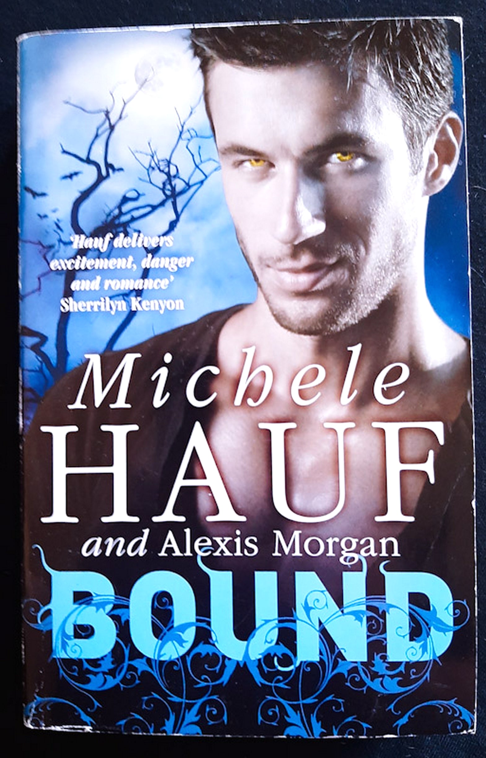Front Cover Of Bound (Vampire #2) (Michele Hauf)
