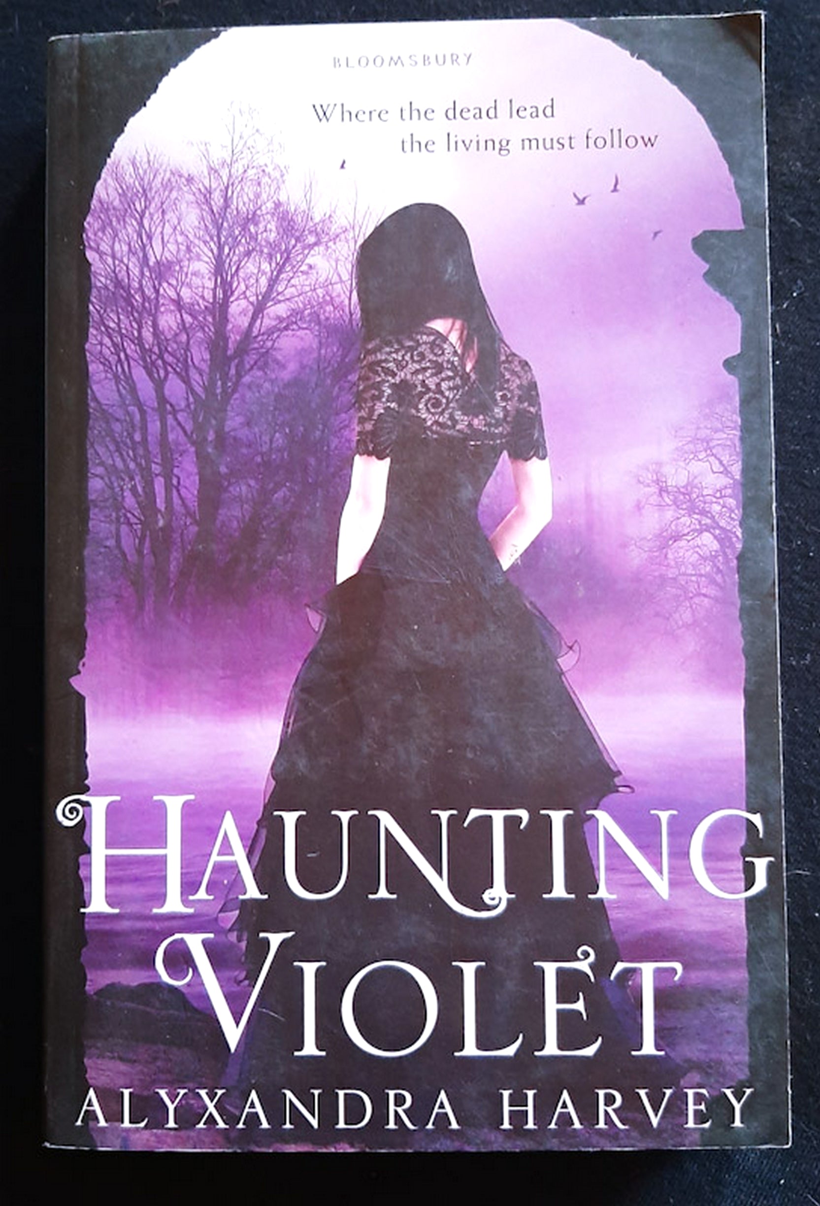 Front Cover Of Haunting Violet (Haunting Violet #1) ()