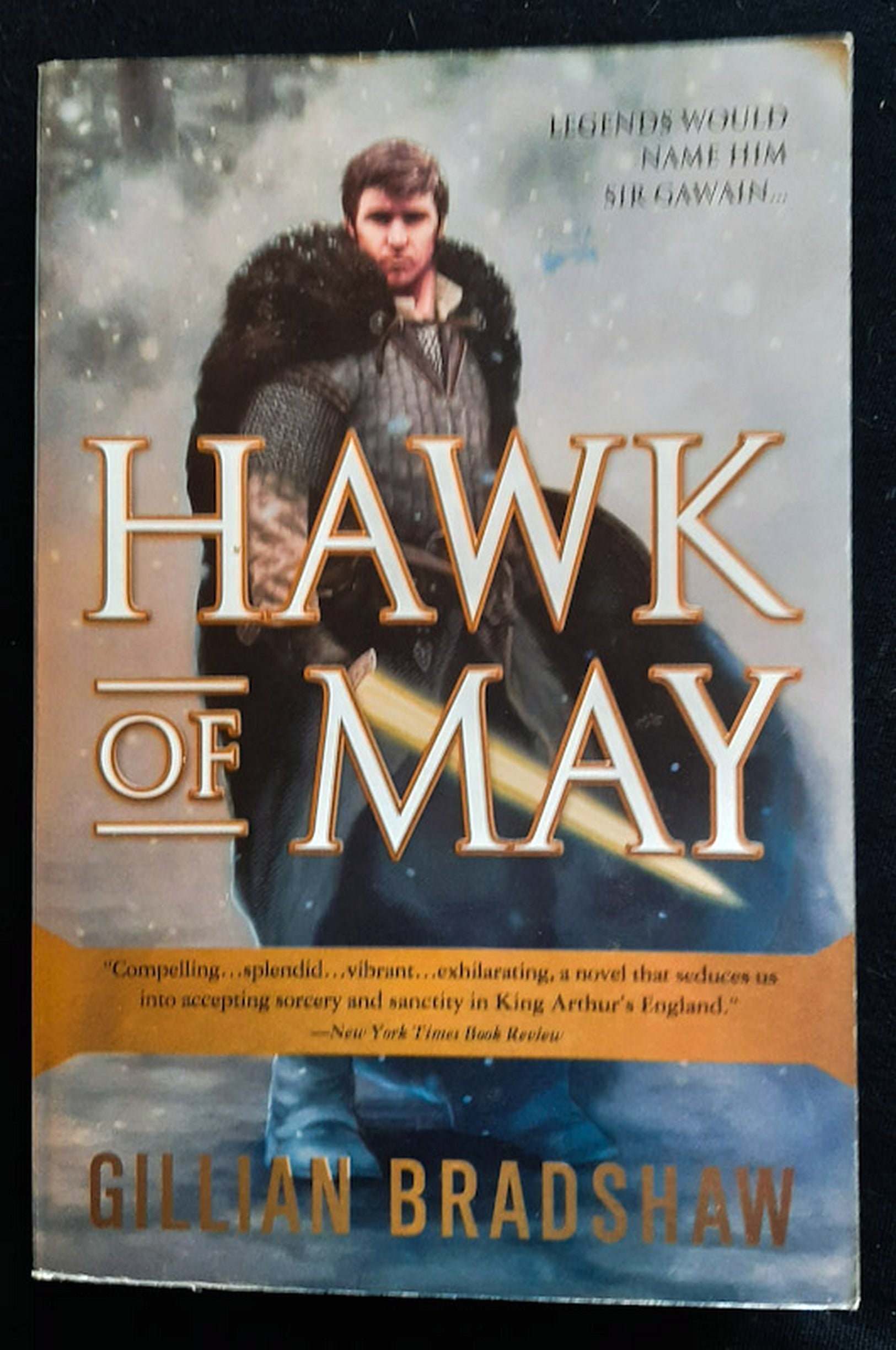 Front Cover Of Hawk of May (Down the Long Wind #1) (GILLIAN BRADSHAW)