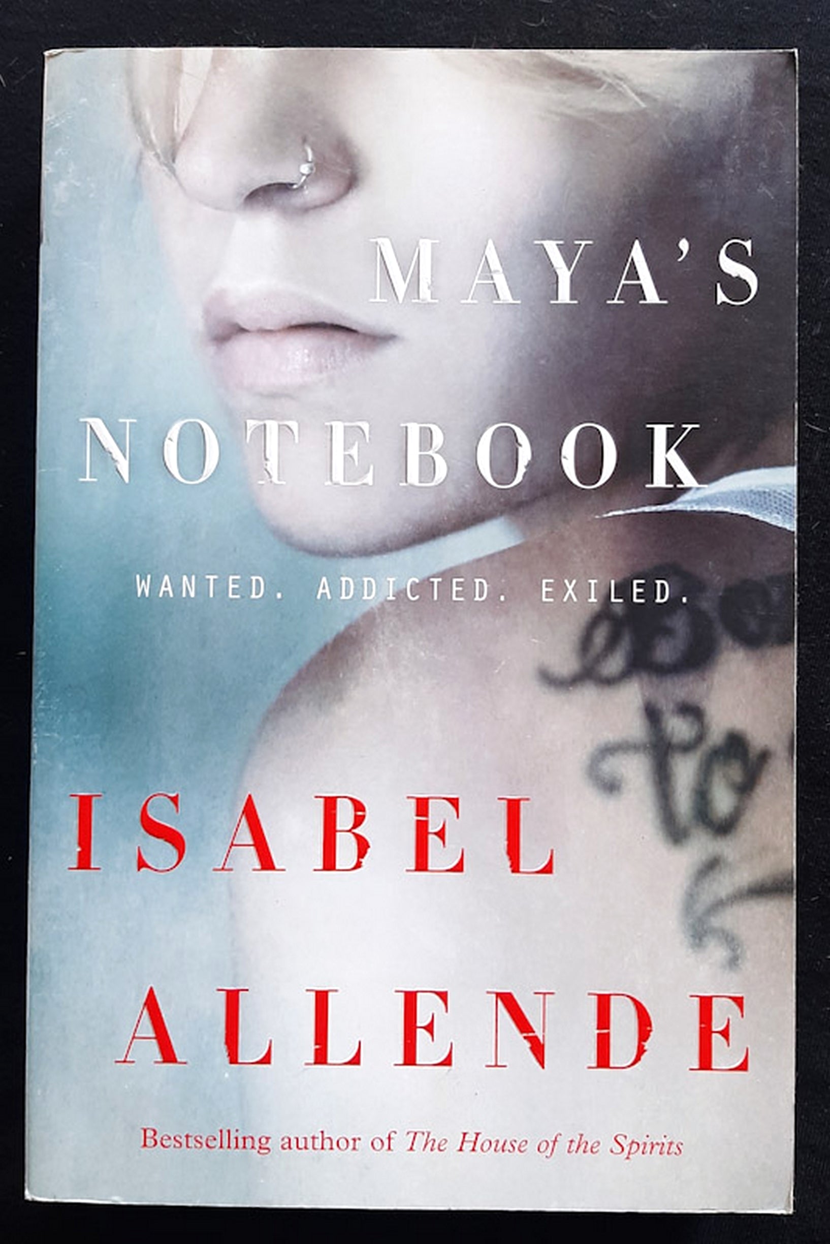 Front Cover Of Maya's Notebook (Isabel Allende)