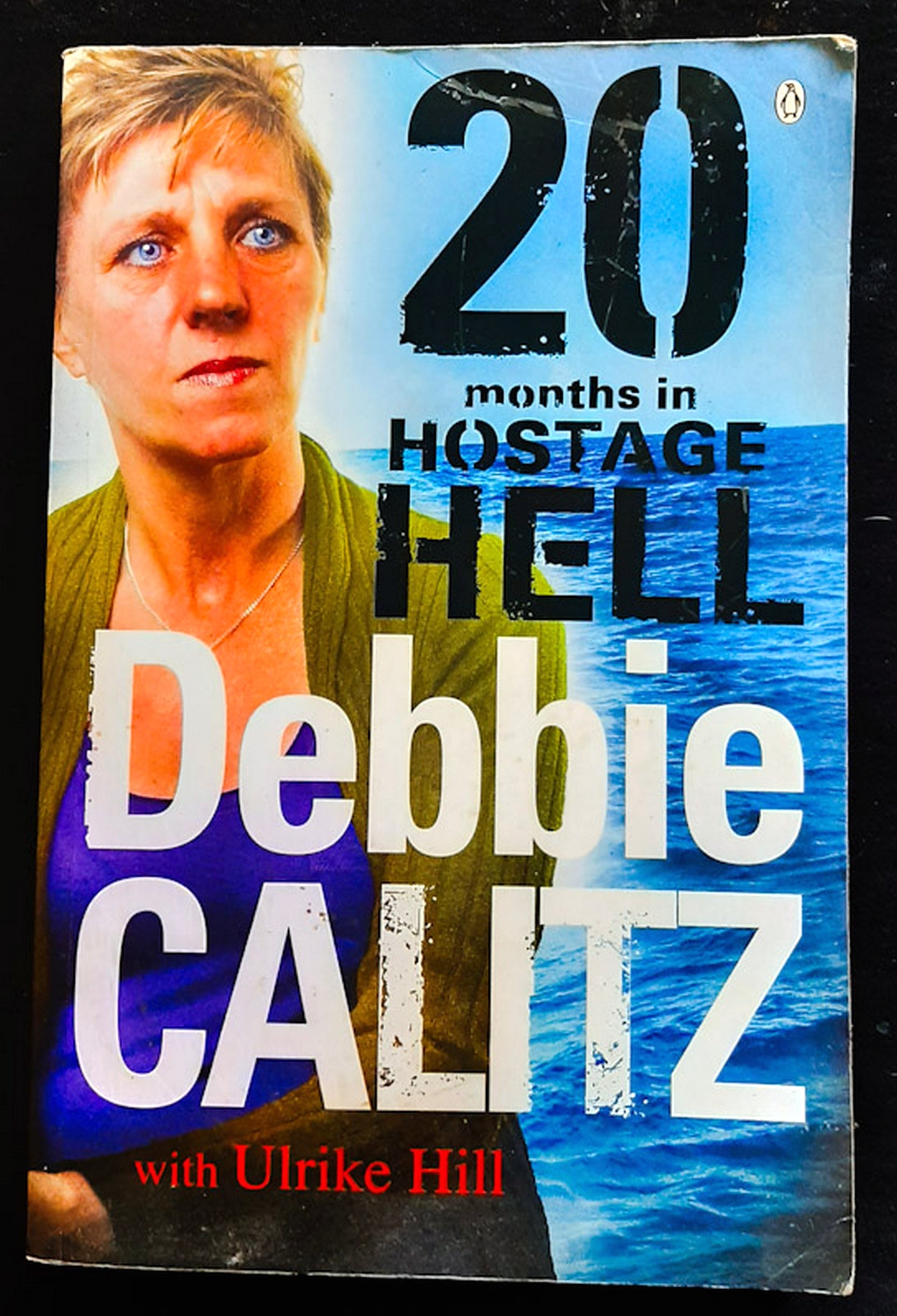 Front Cover Of Debbie Calitz: 20 Months in Hostage Hell (Debbie Calitz)