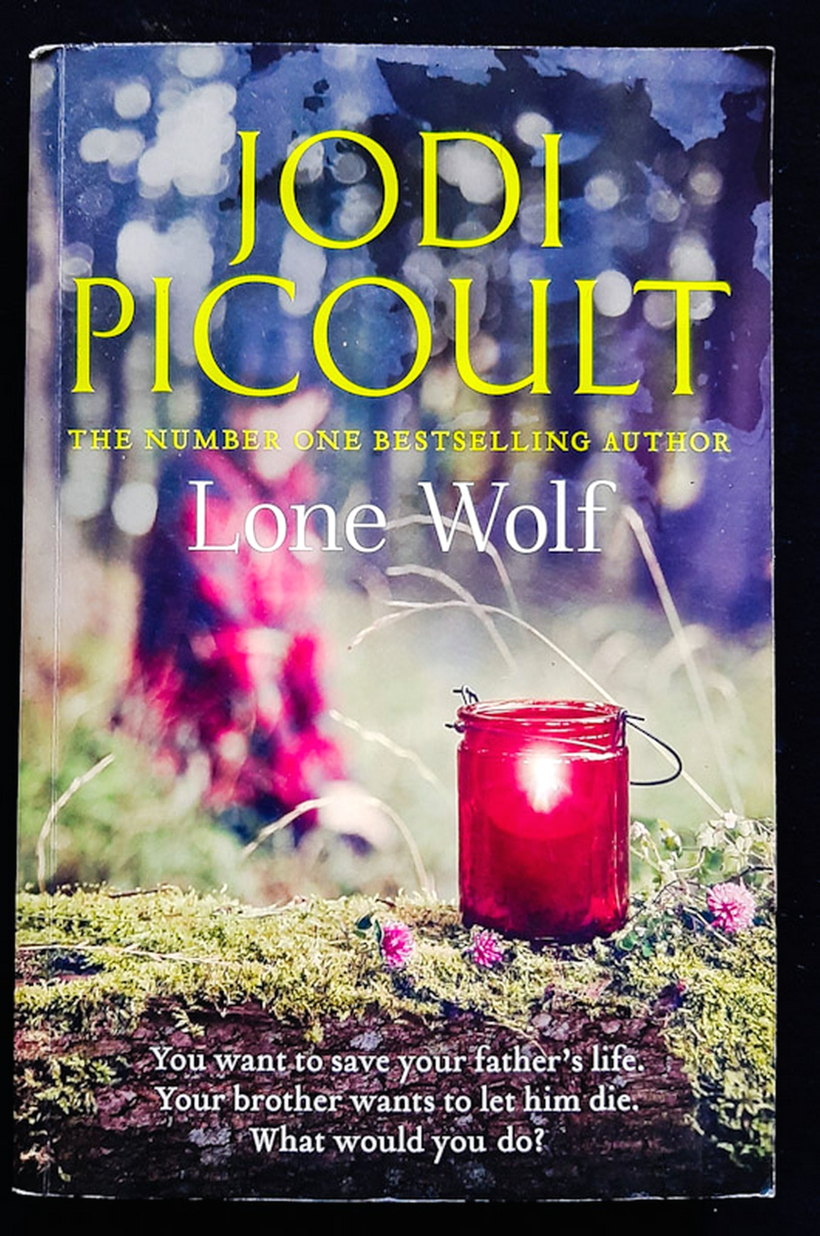 Front Cover Of Lone Wolf (Jodi Picoult)