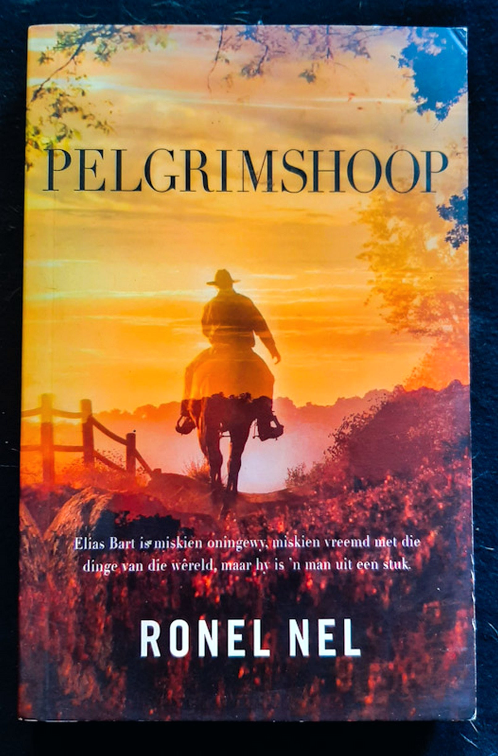 Front Cover Of Pelgrimshoop (Ronel Nel)