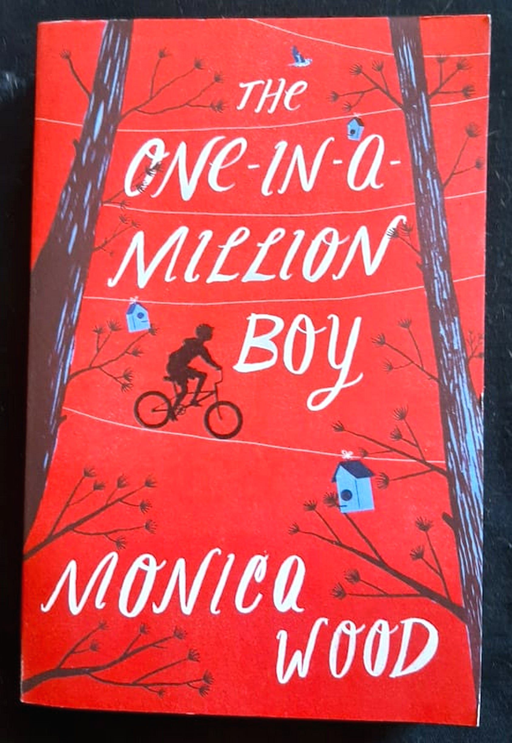 Front Cover Of The One-in-a-Million Boy (Monica Wood)