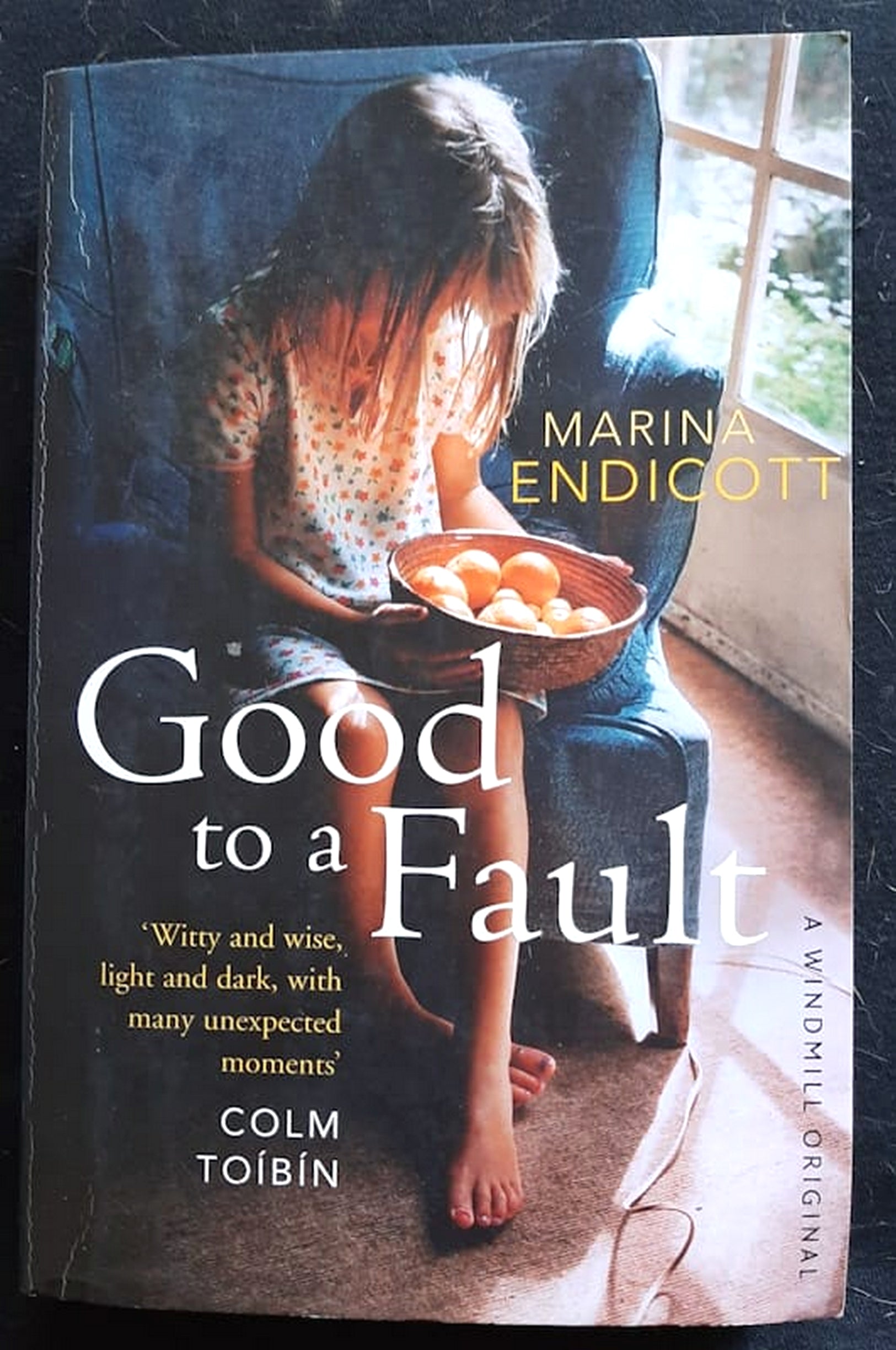 Front Cover Of Good To A Fault (Marina Endicott)