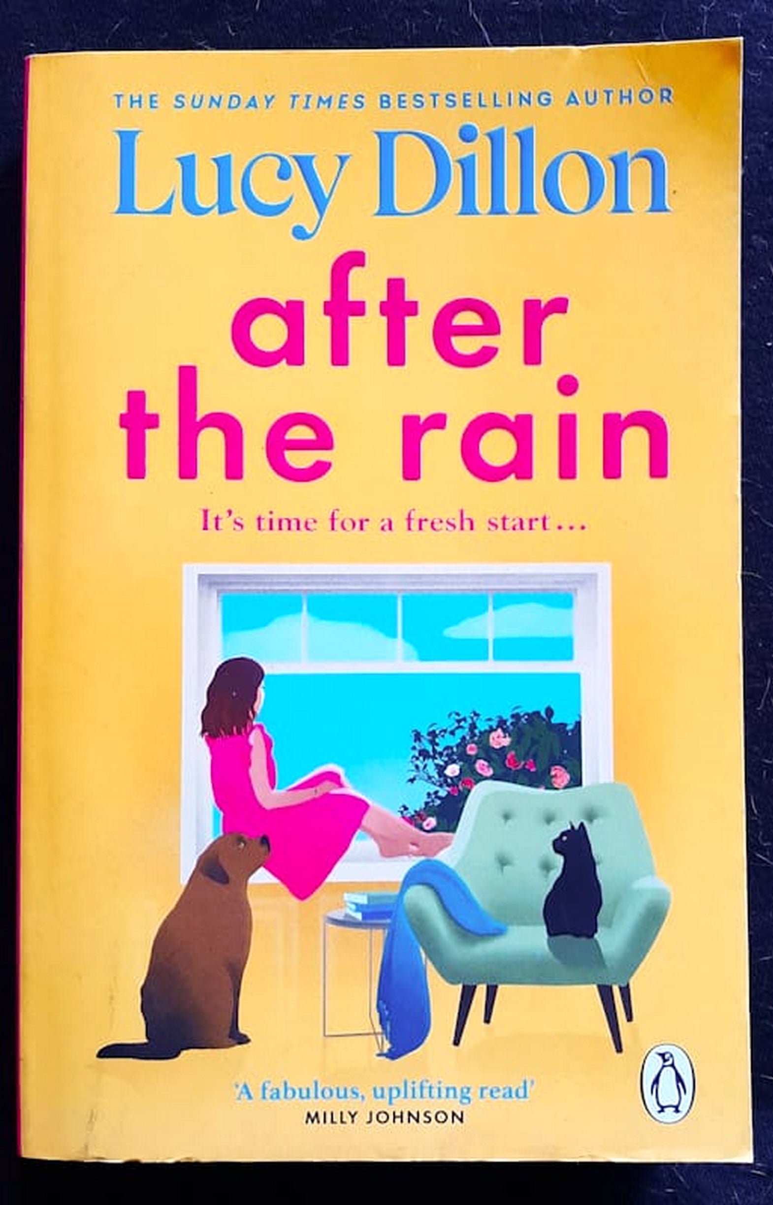 Front Cover Of After the Rain (Lucy Dillon)