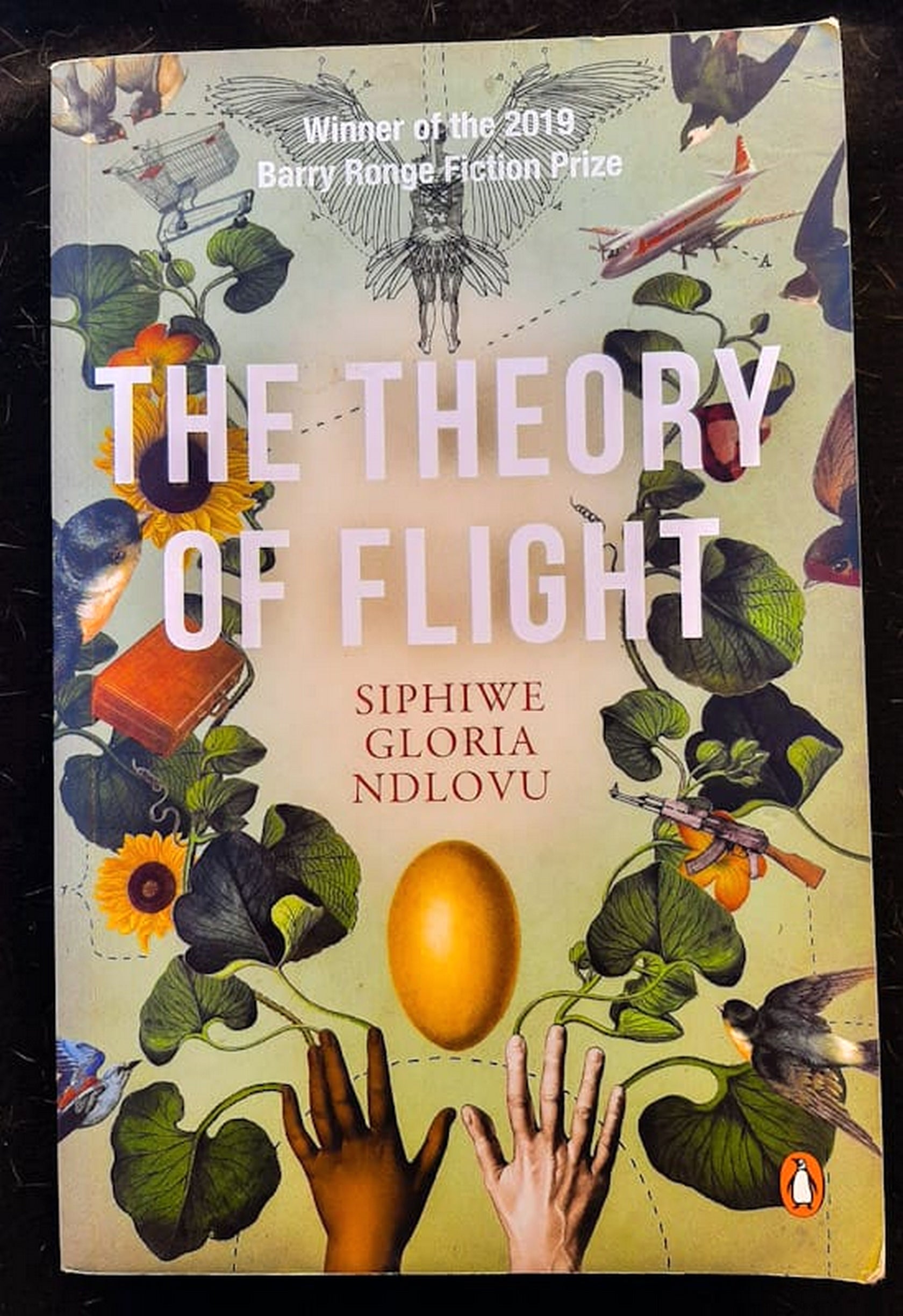 Front Cover Of The Theory of Flight (Siphiwe Gloria Ndlovu)