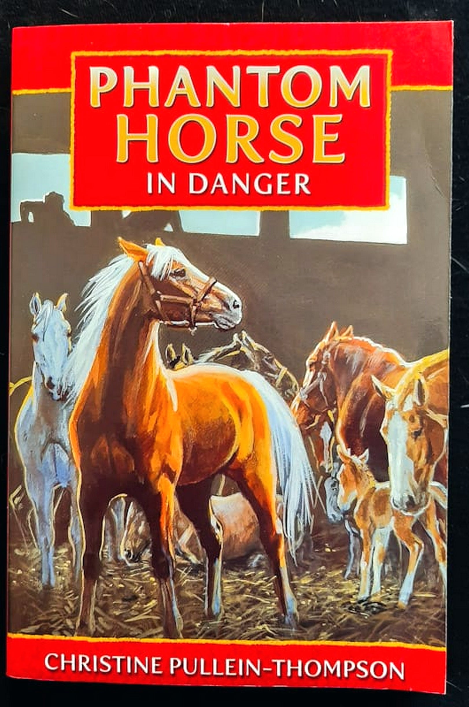 Front Cover Of Phantom Horse in Danger (Phantom Horse #4) (Christine Pullein-Thompson)