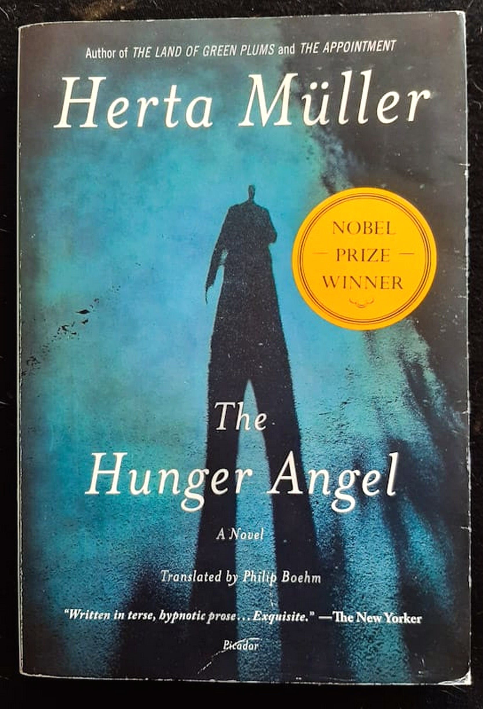 Front Cover Of The Hunger Angel (Herta Muller)