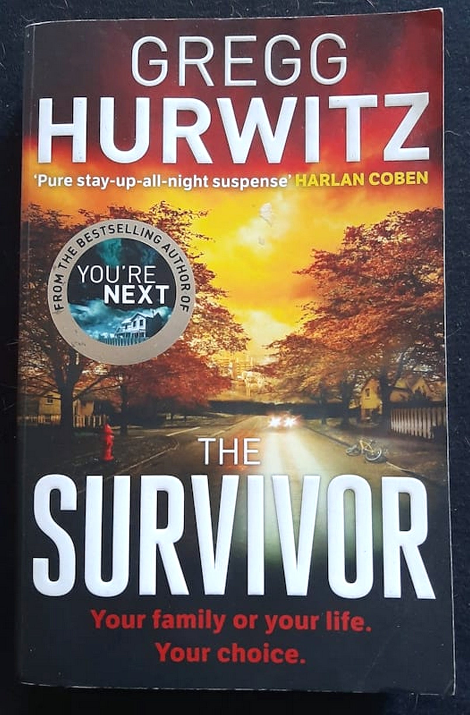 Front Cover Of The Survivor (Gregg Hurwitz)
