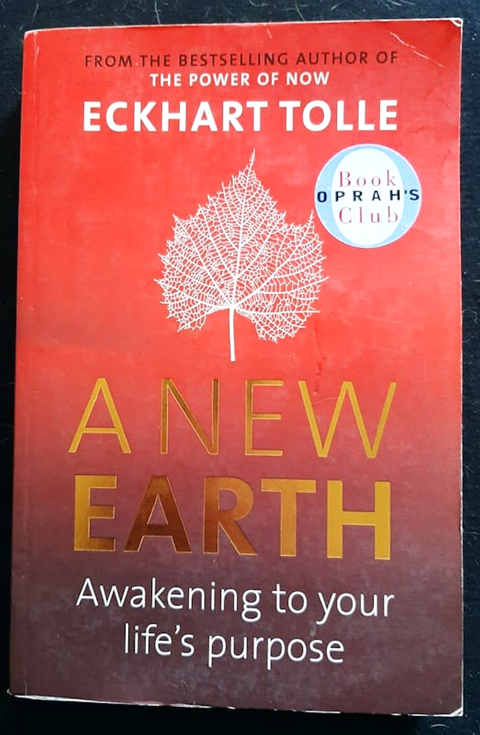 Front Cover Of A New Earth: Awakening to Your Life's Purpose (Eckhart Tolle)