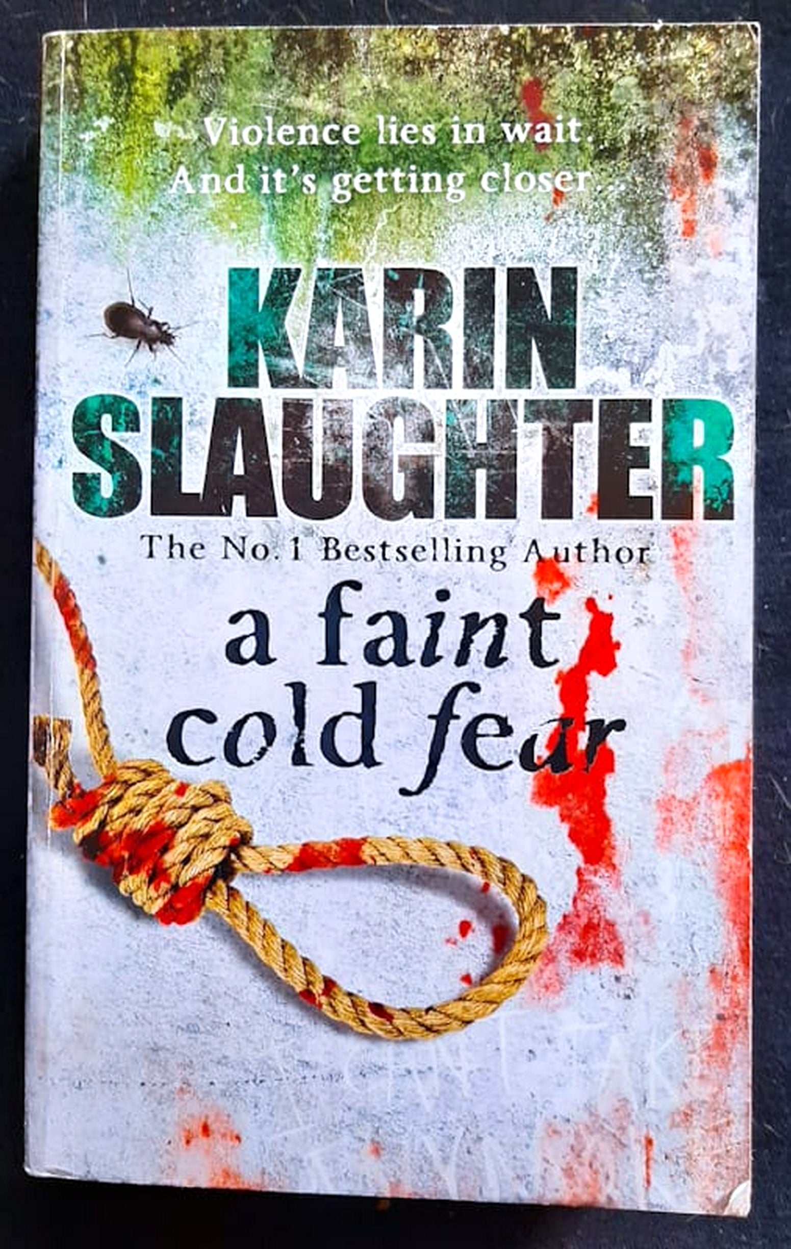 Front Cover Of A Faint Cold Fear (Grant County #3) (Karin Slaughter)