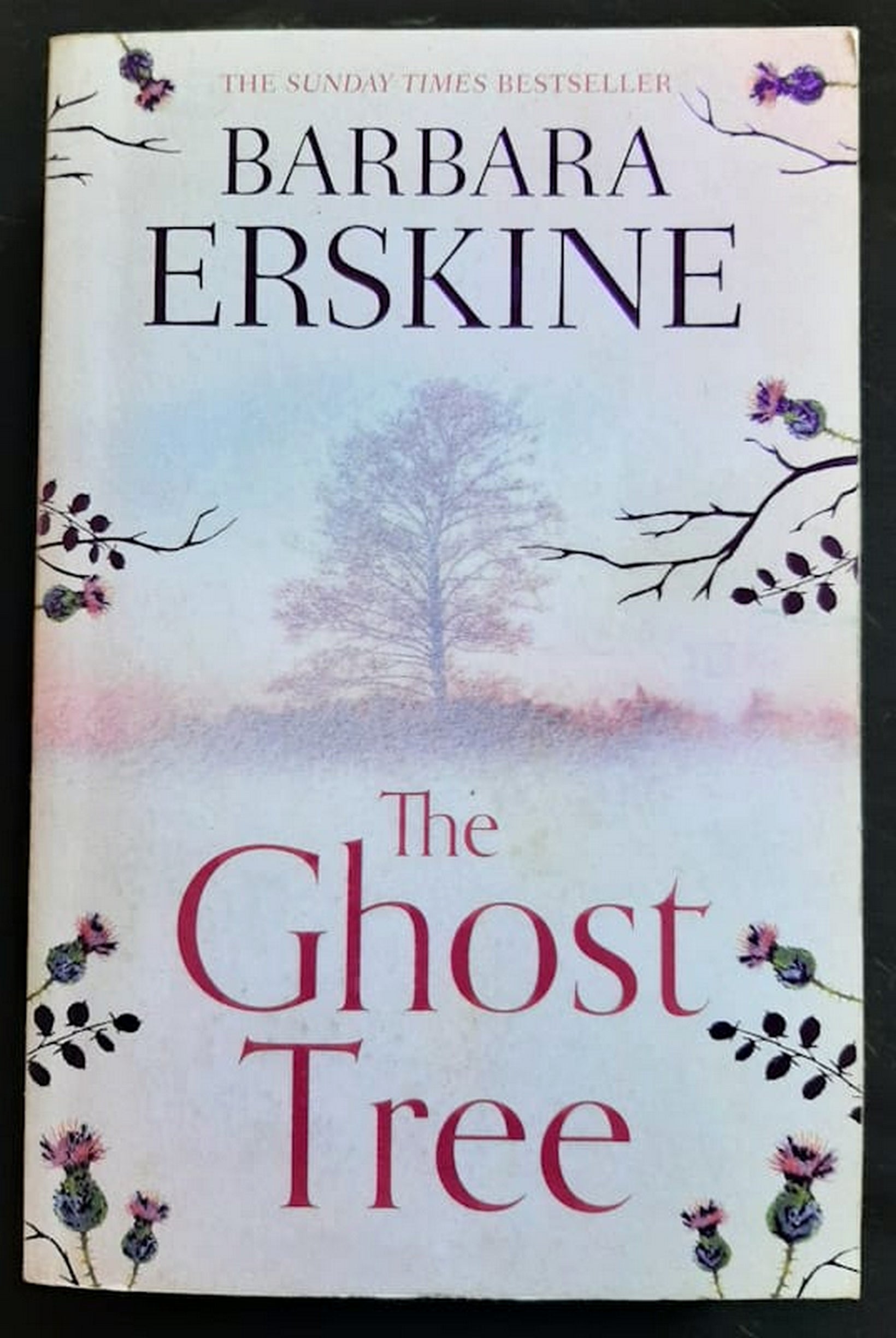 Front Cover Of The Ghost Tree (BARBARA ERSKINE)