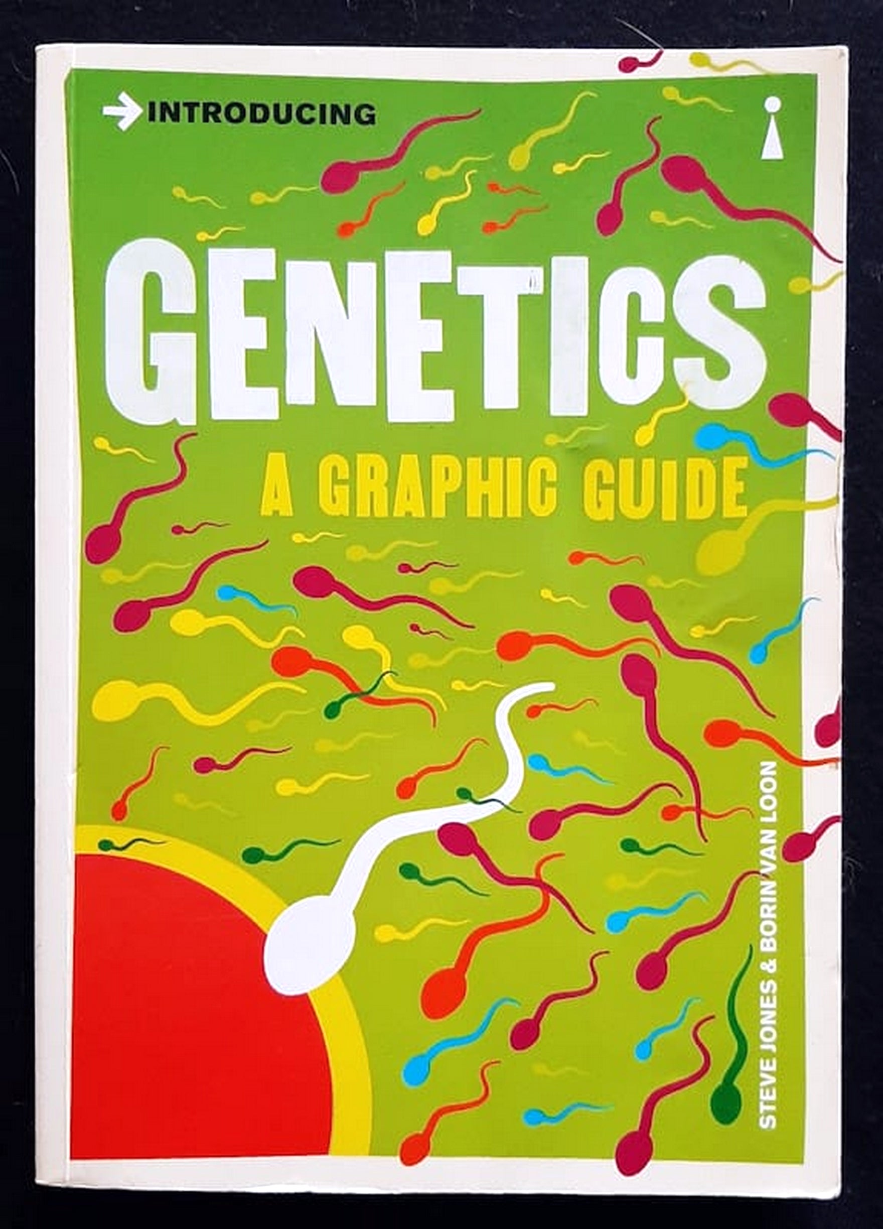 Front Cover Of Introducing Genetics: A Graphic Guide (Steve Jones)