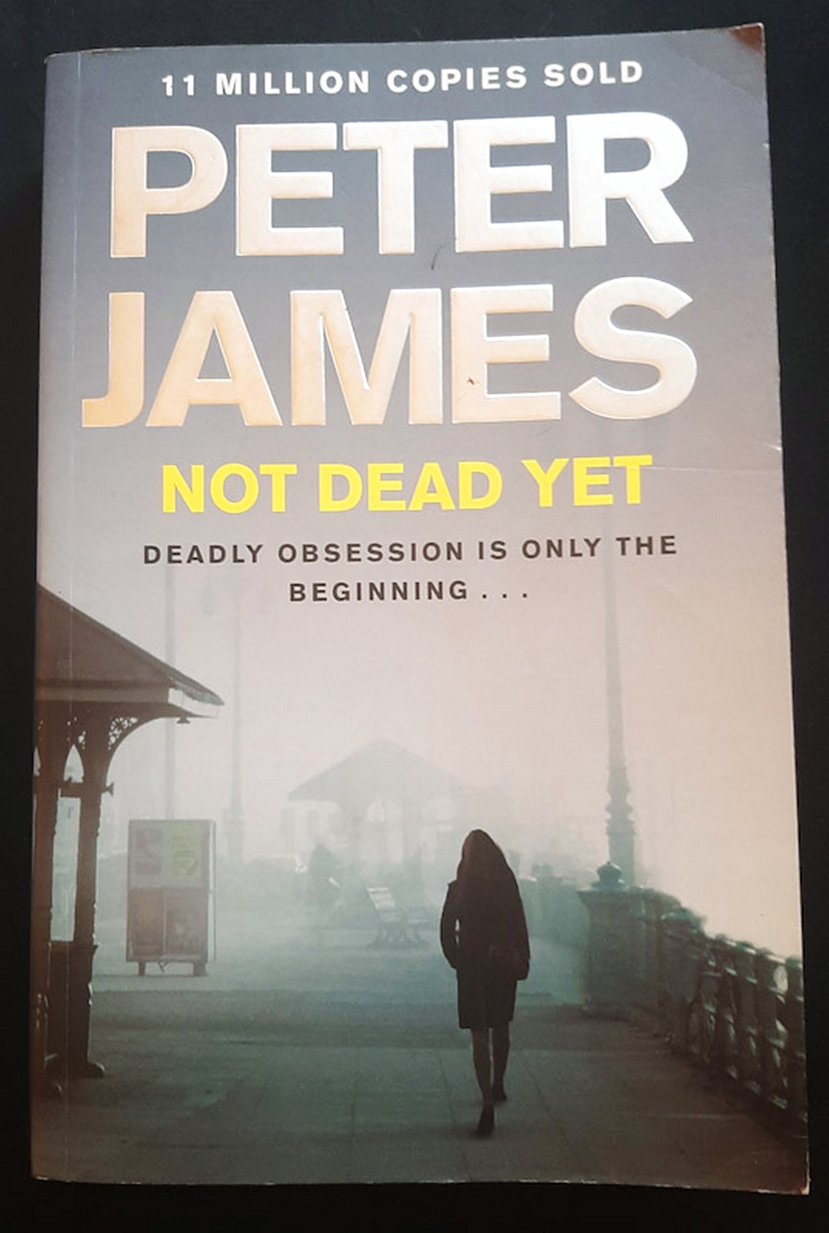 Front Cover Of Not Dead Yet (Roy Grace #8) (Peter James)