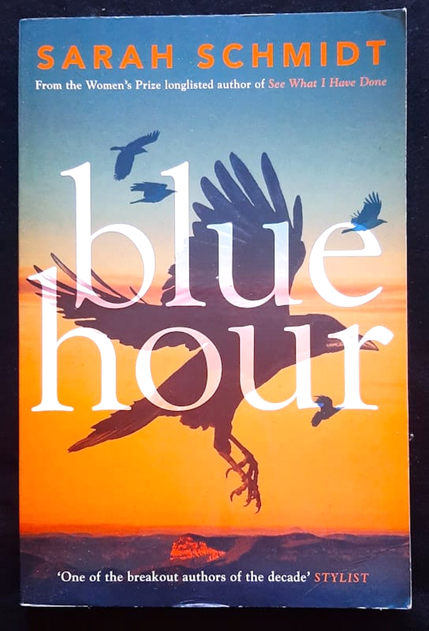 Front Cover Of Blue Hour (Sarah Schmidt)
