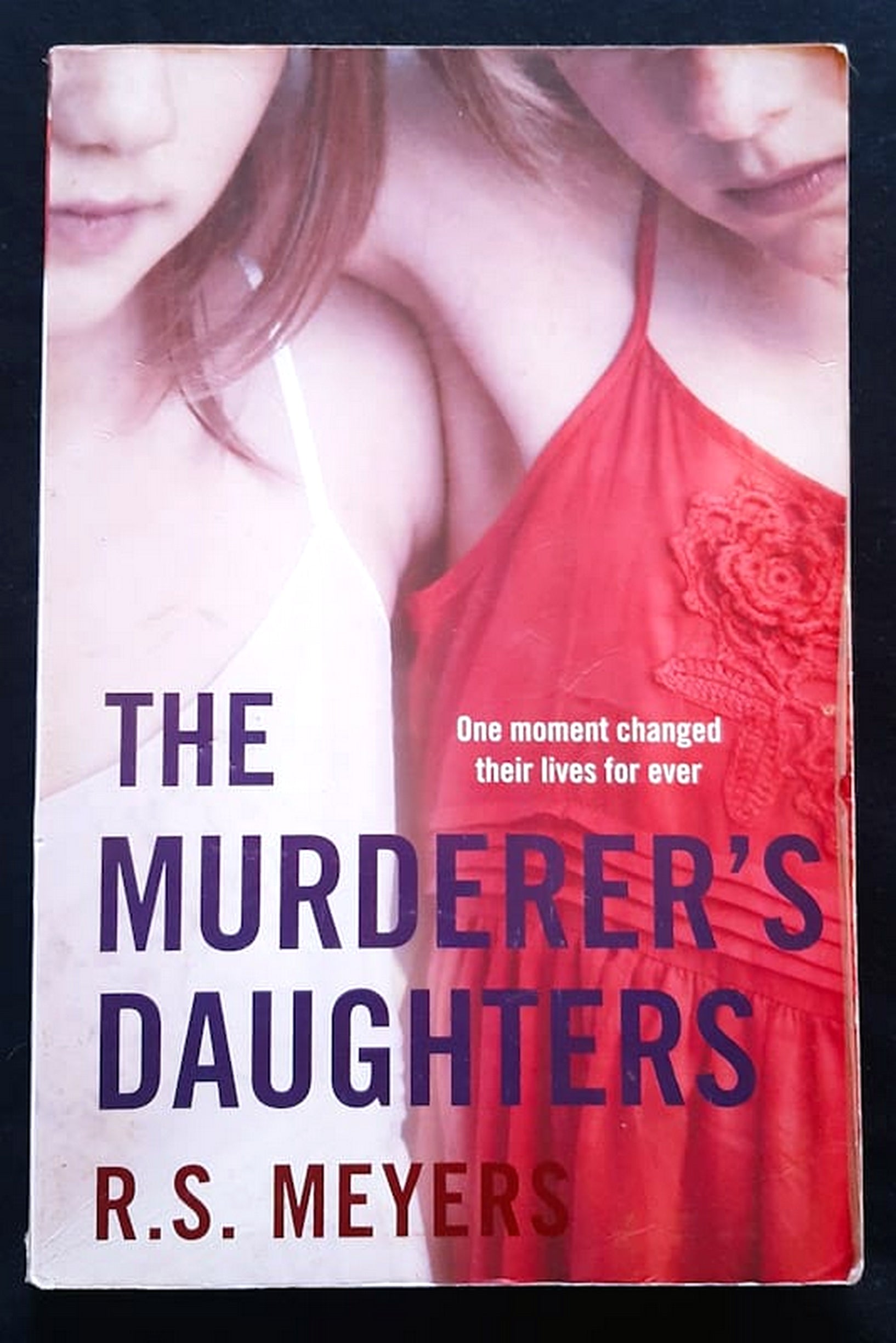 Front Cover Of The Murderer's Daughters (R. S. Meyers)