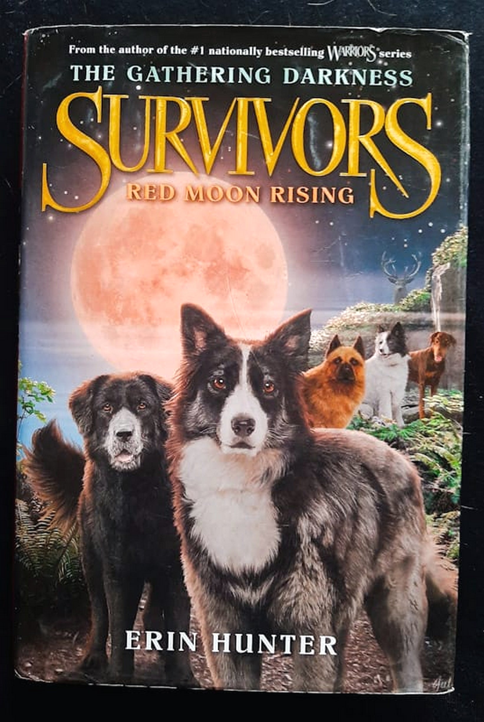 Front Cover Of Red Moon Rising (Survivors: The Gathering Darkness #4) (Erin Hunter)