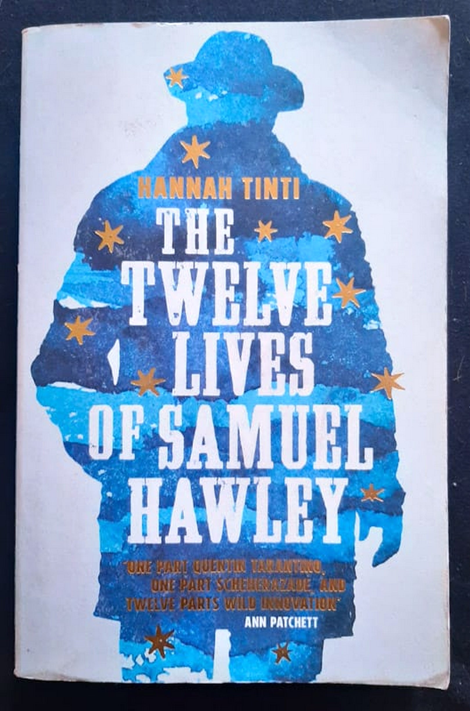 Front Cover Of The Twelve Lives of Samuel Hawley (Hannah Tinti)