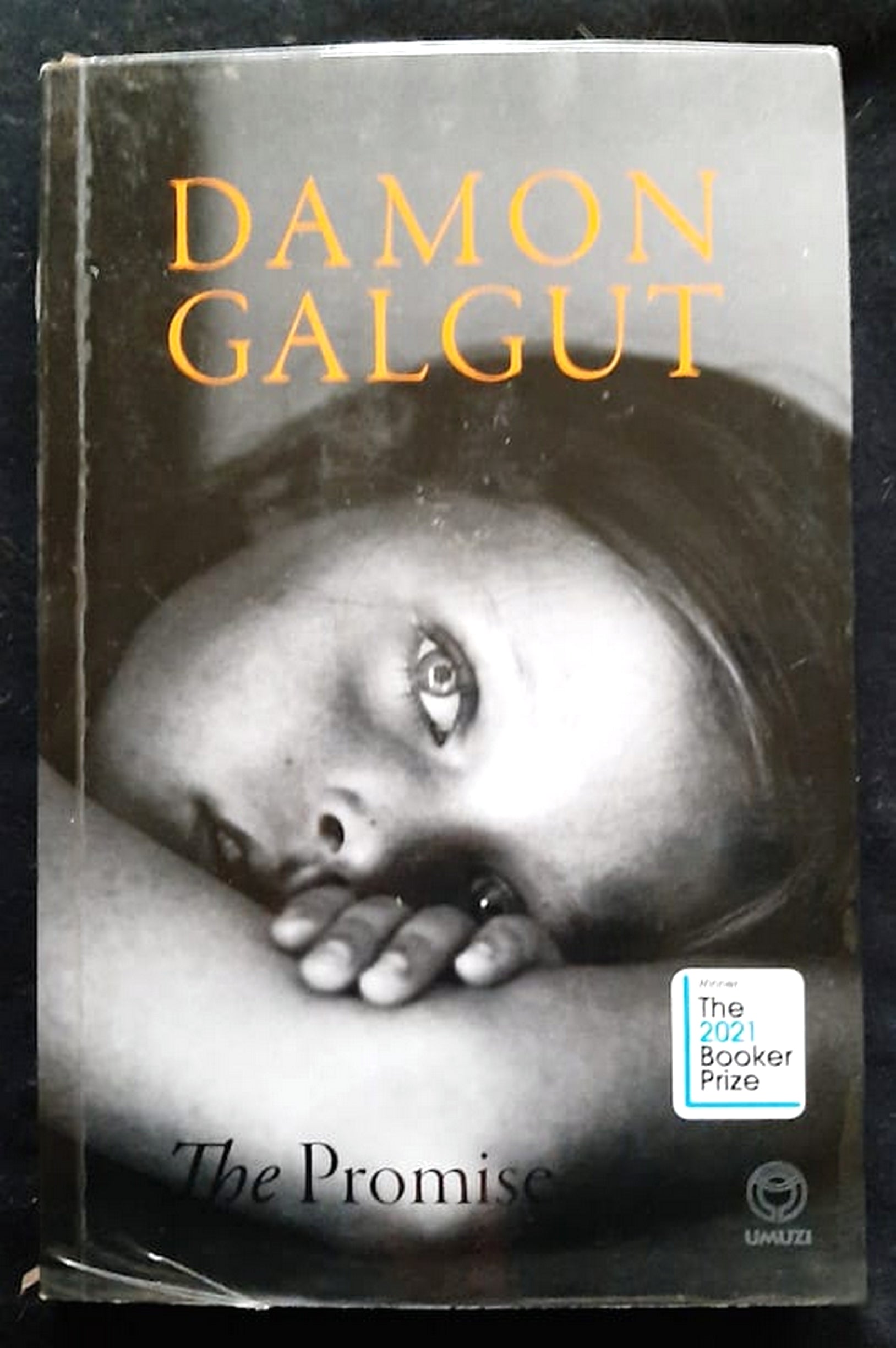 Front Cover Of The Promise (Damon Galgut)