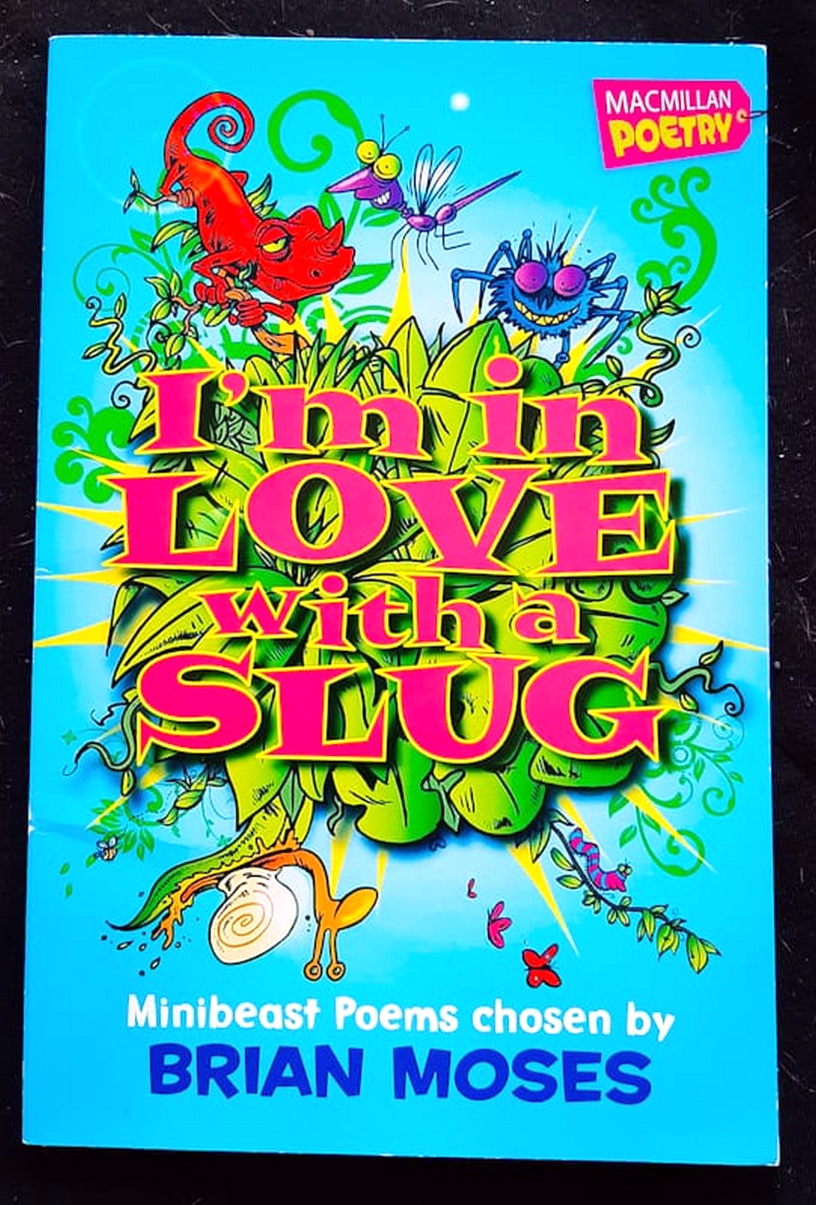 Front Cover Of I'm in Love with a Slug (Brian Moses)