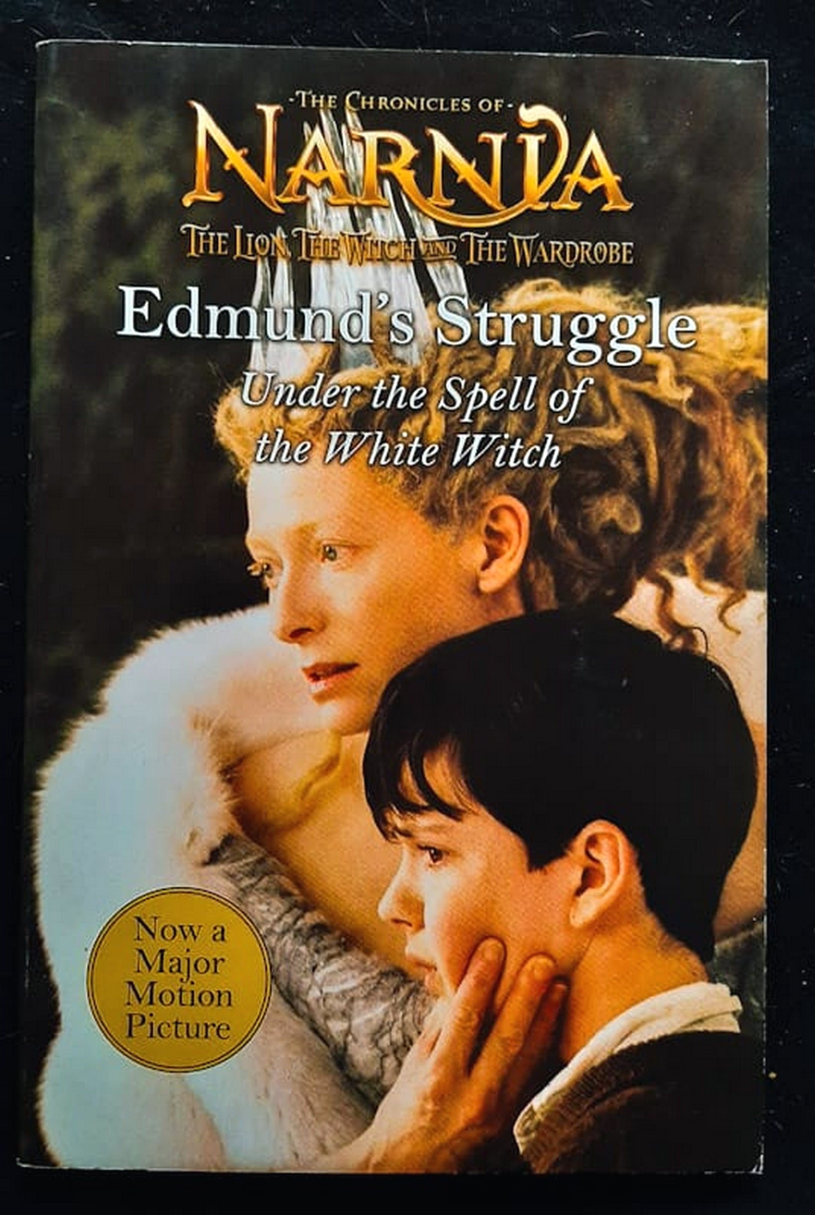 Front Cover Of Edmund's Struggle: Under The Spell Of The White Witch (The Lion, the Witch and the Wardrobe Chapter Books #2) (C.S. Lewis)