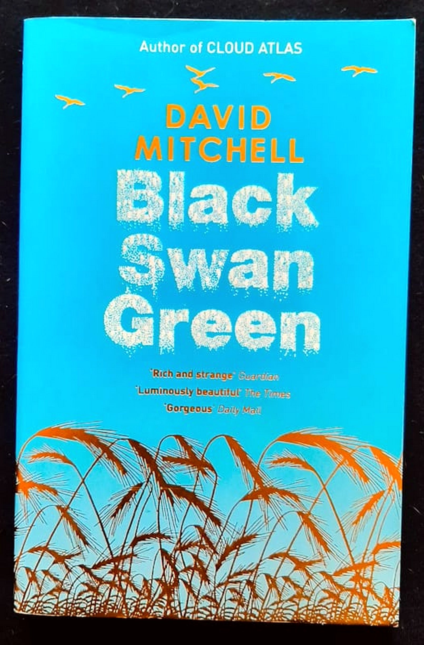 Front Cover Of Black Swan Green (David Mitchell)
