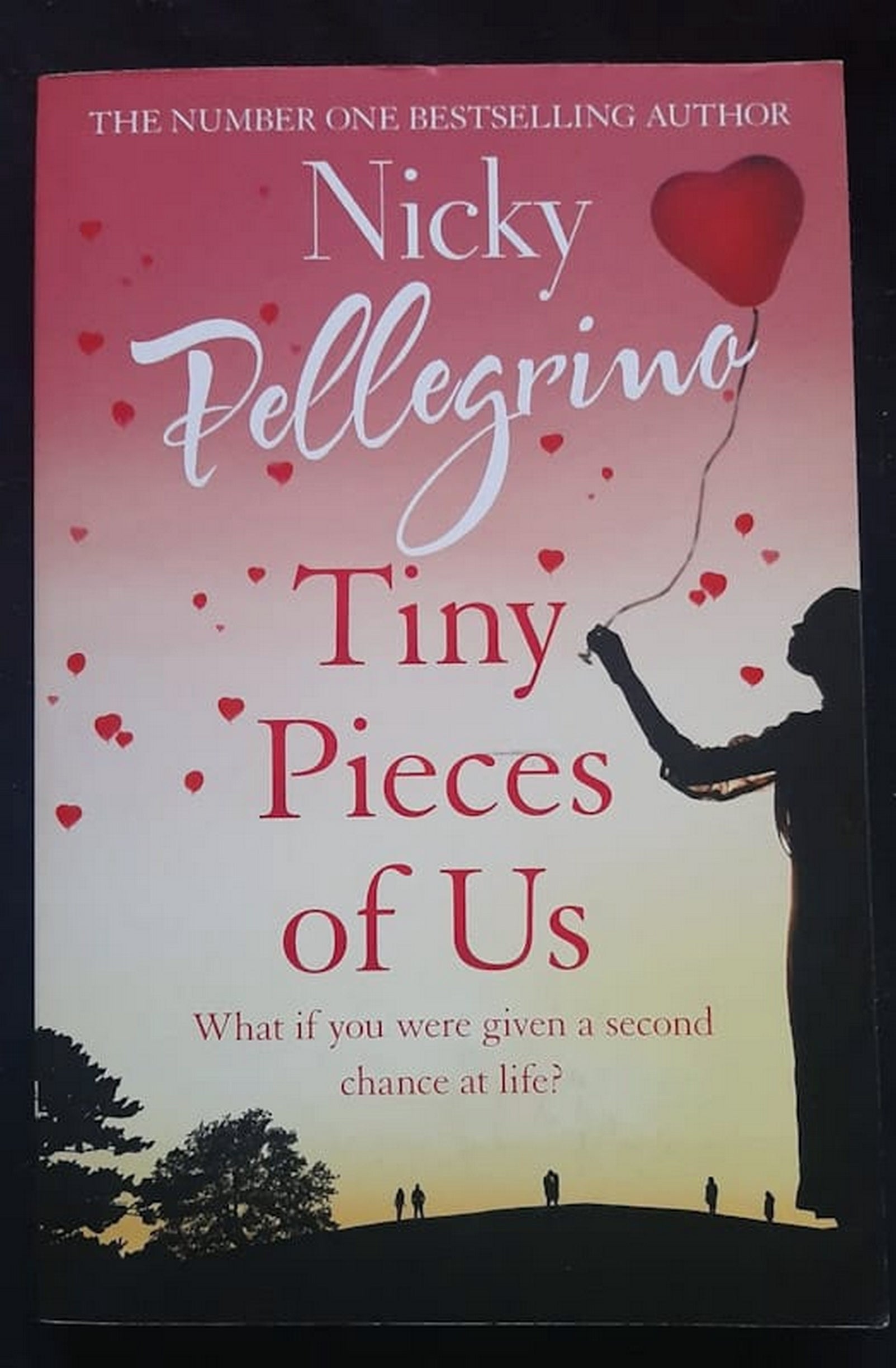 Front Cover Of Tiny Pieces of Us (Nicky Pellegrino)